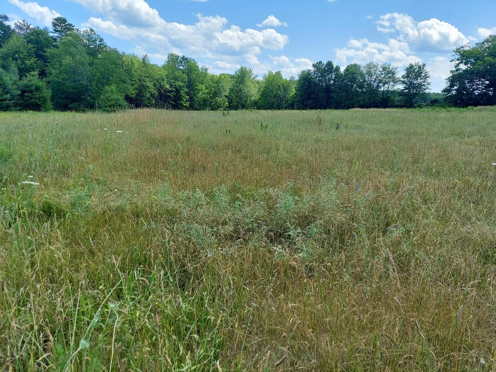 2494 Hallowell Road Litchfield, ME 04350 - Photo 6 of 9 received_1218134418975178