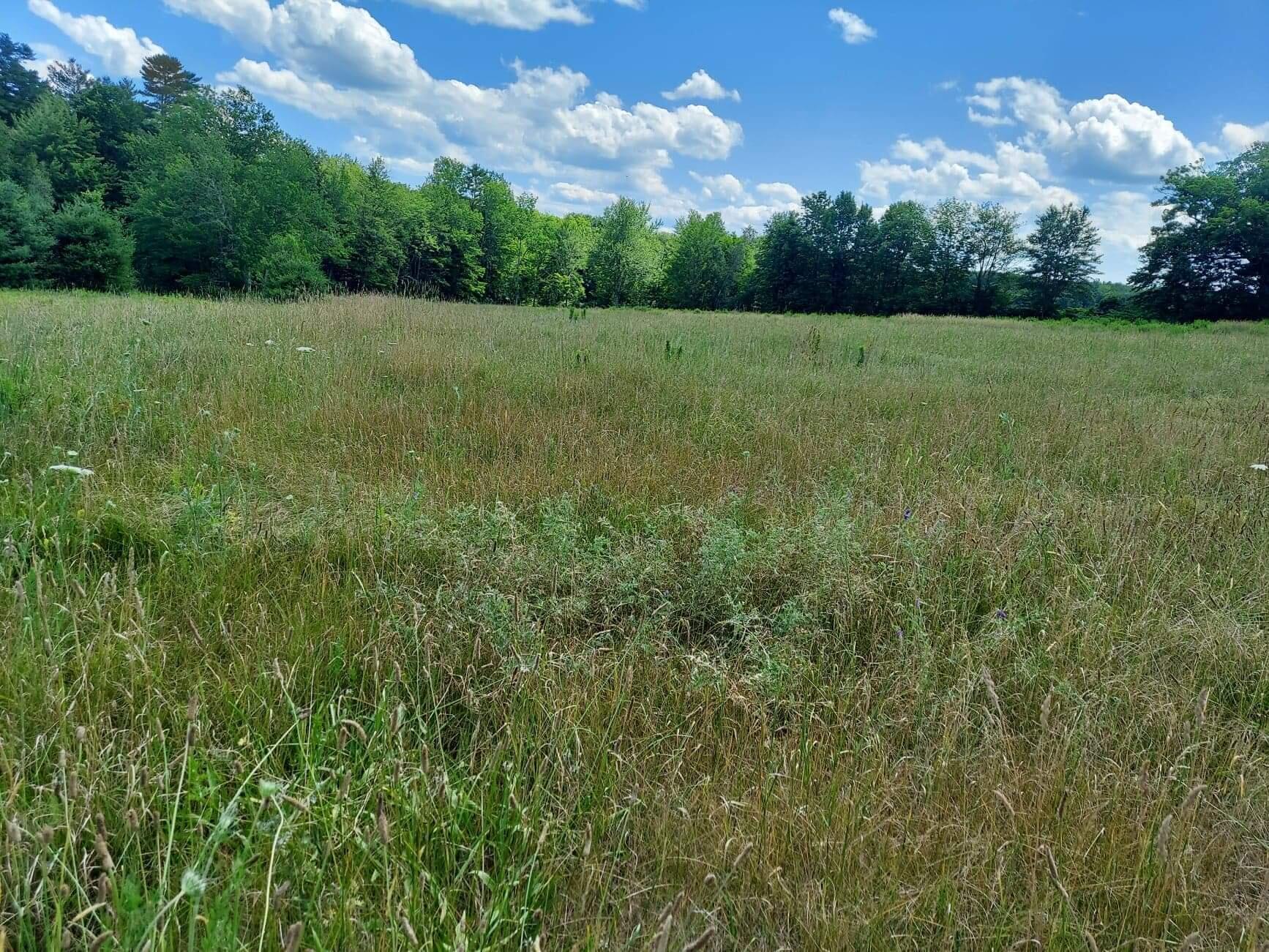 2494 Hallowell Road Litchfield, ME 04350 - Photo 7 of 9 received_1413918142352068