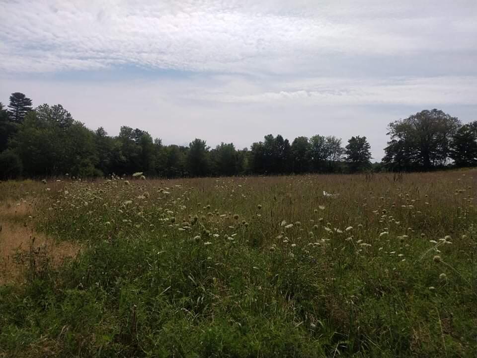 2494 Hallowell Road Litchfield, ME 04350 - Photo 8 of 9 received_1223311544803853