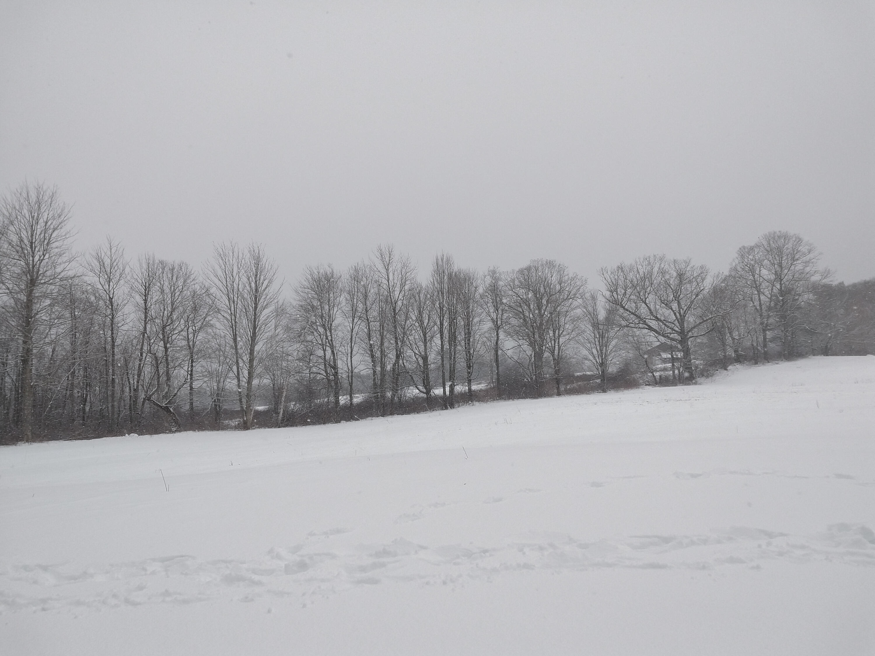 2494 Hallowell Road Litchfield, ME 04350 - Photo 9 of 9 IMG_20210205_135032534