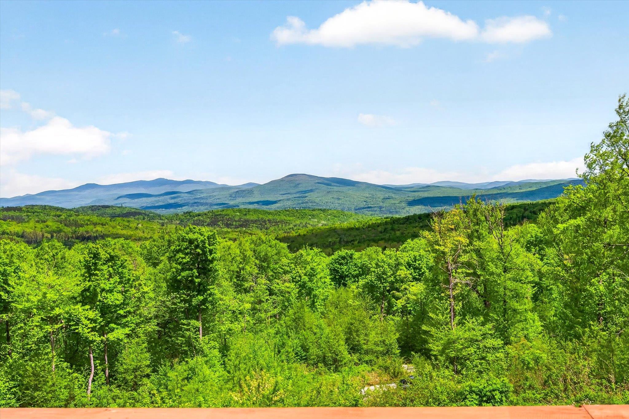 680 Government Road Mount Holly, VT 05730 - Photo 3 of 57