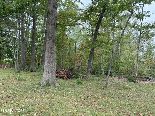 $399,900 | 6105 South South York Highway, Clarkrange, TN 38553