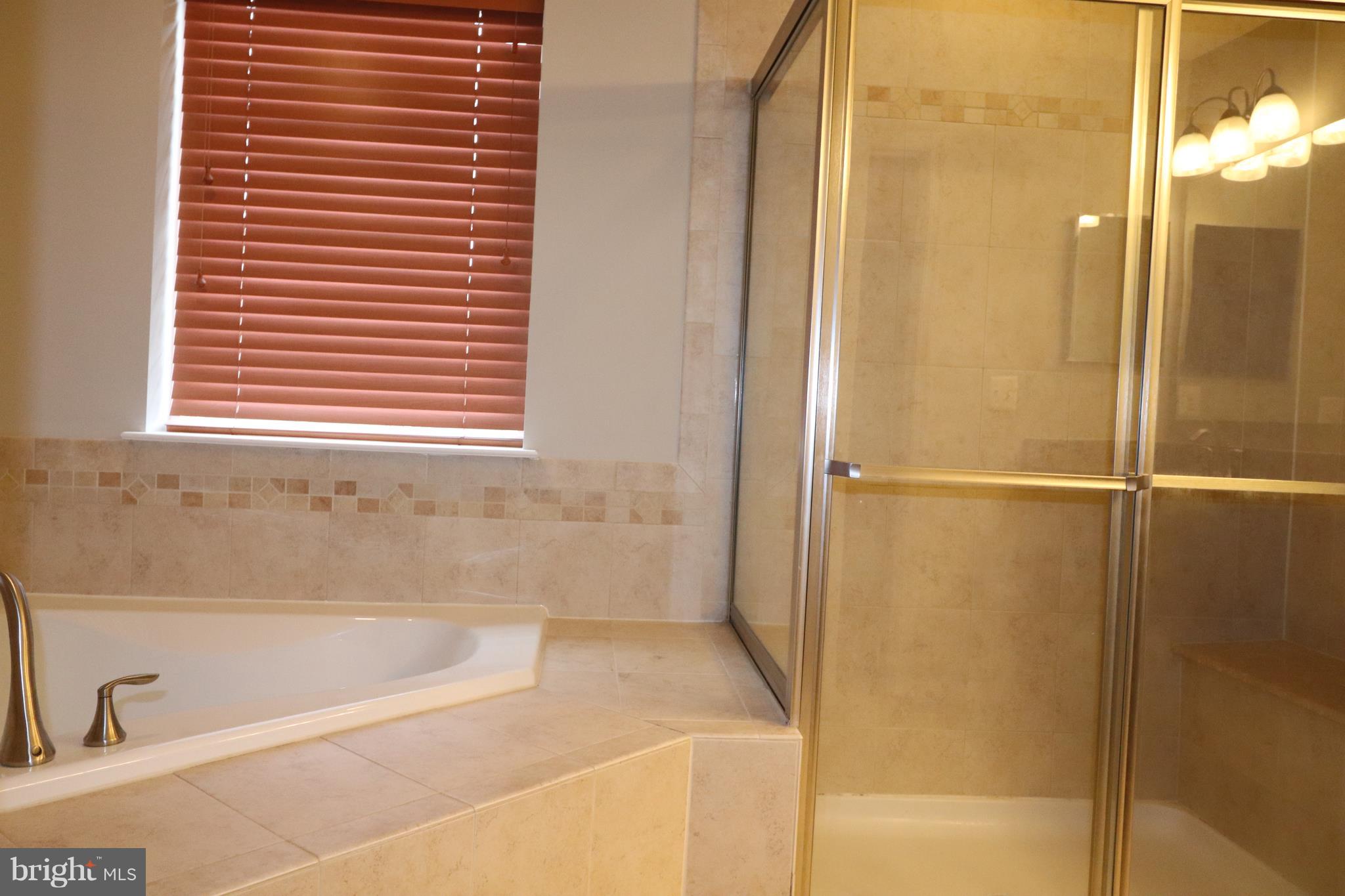 1011 Red Clover Road Gambrills, MD 21054 - Photo 14 of 28 Master Bath