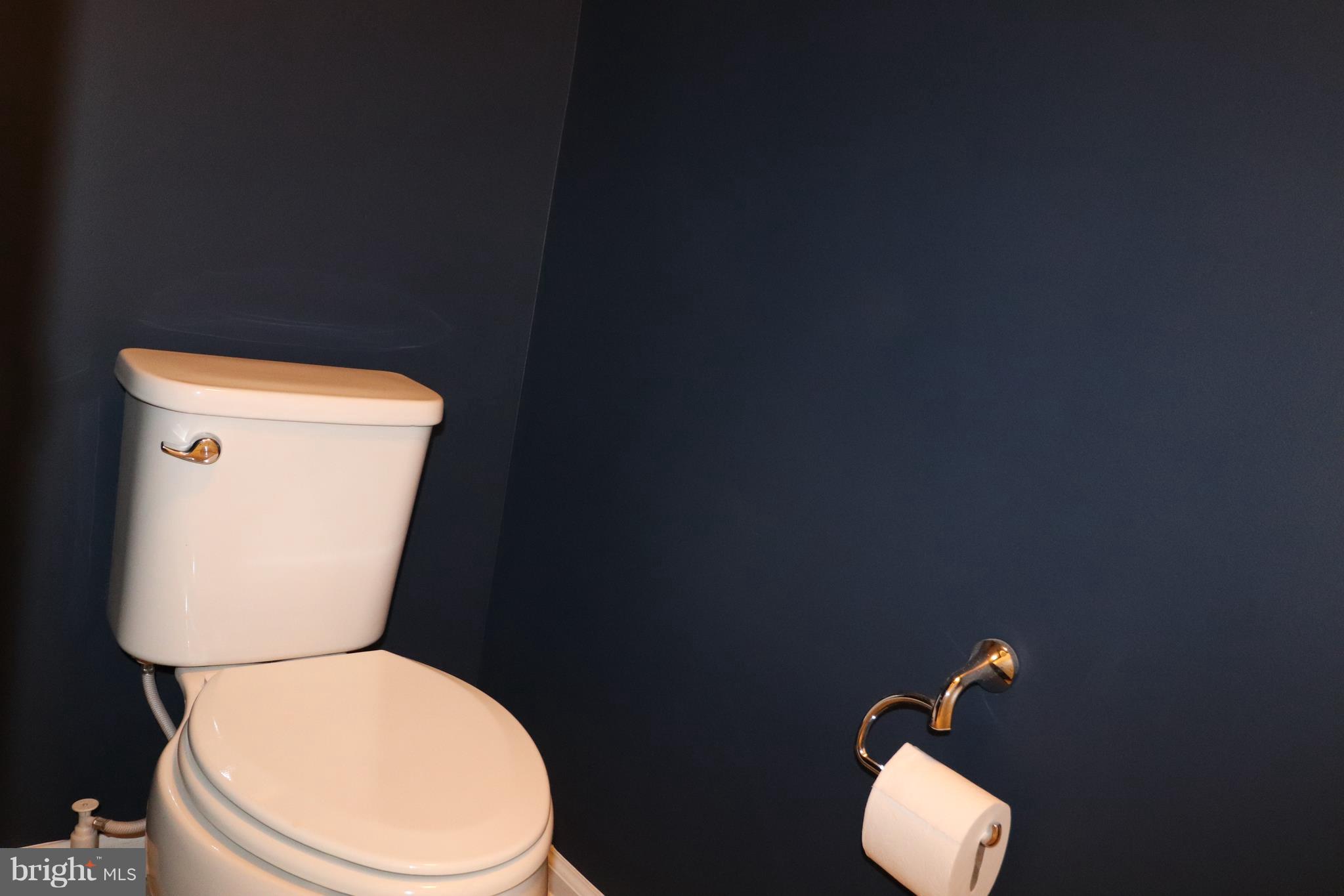 1011 Red Clover Road Gambrills, MD 21054 - Photo 16 of 28 Master Bath-Water Closet