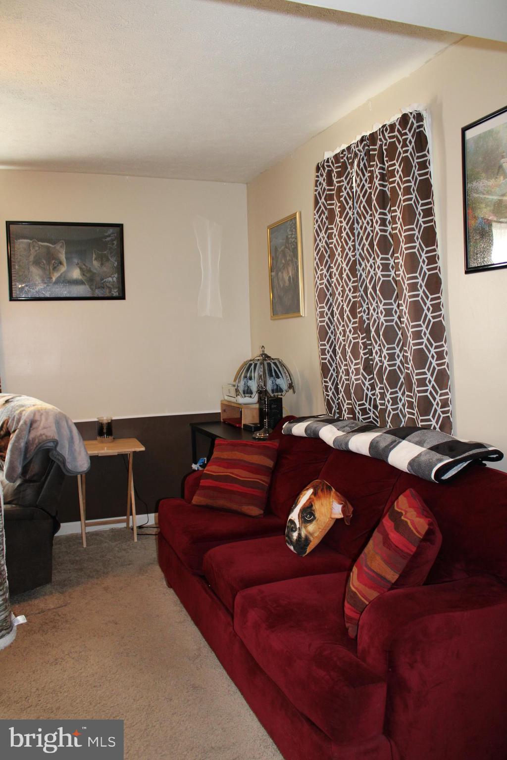 10117 Hummingbird Street Ellerslie, MD 21529 - Photo 30 of 76 a bed room with a bed and a couch