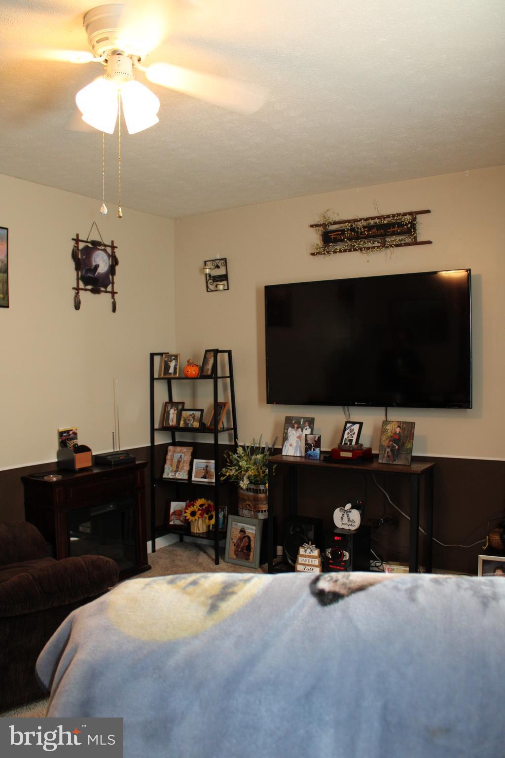 10117 Hummingbird Street Ellerslie, MD 21529 - Photo 33 of 76 a living room with furniture and a flat screen tv