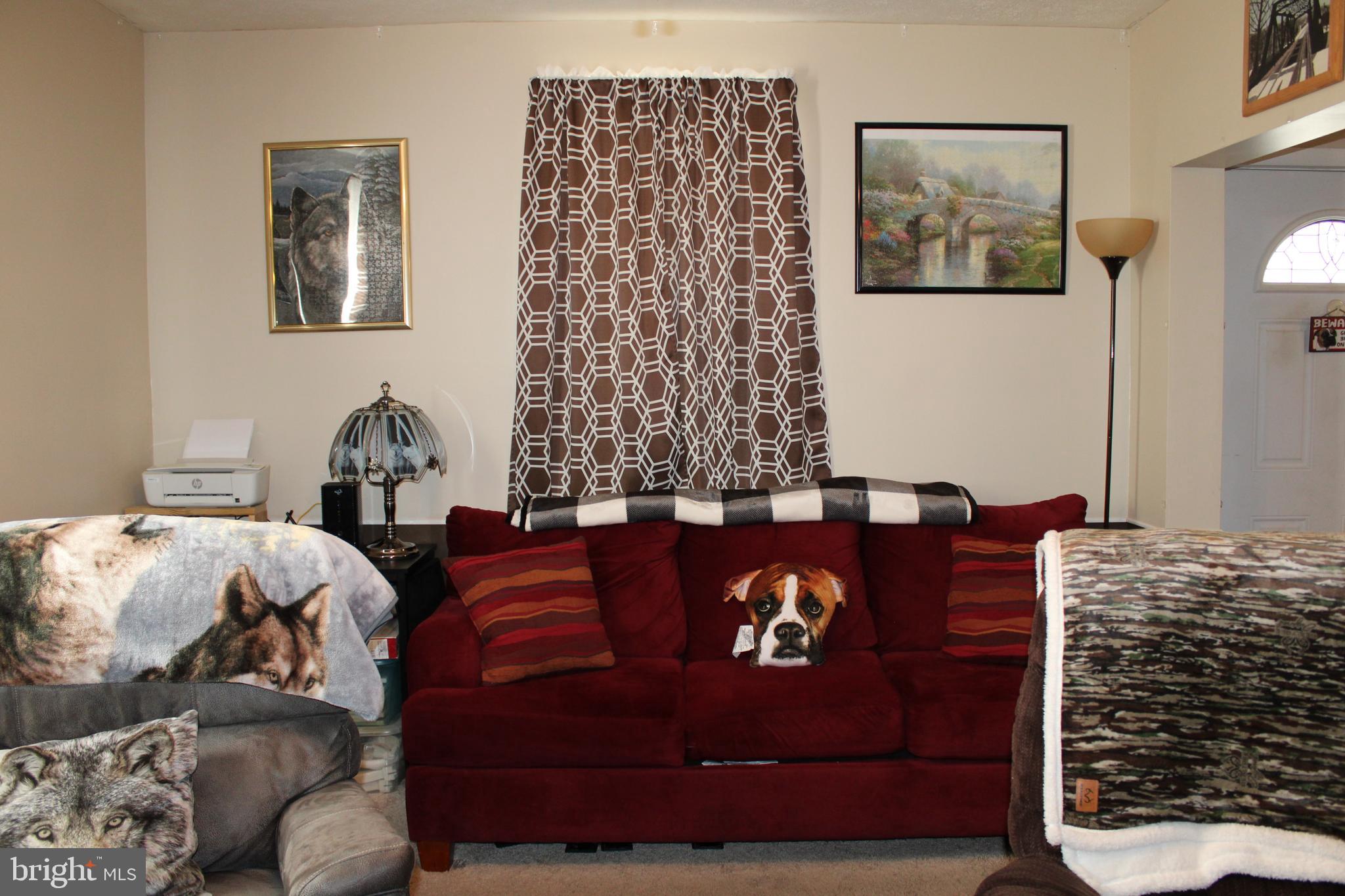 10117 Hummingbird Street Ellerslie, MD 21529 - Photo 35 of 76 Living Room View 6