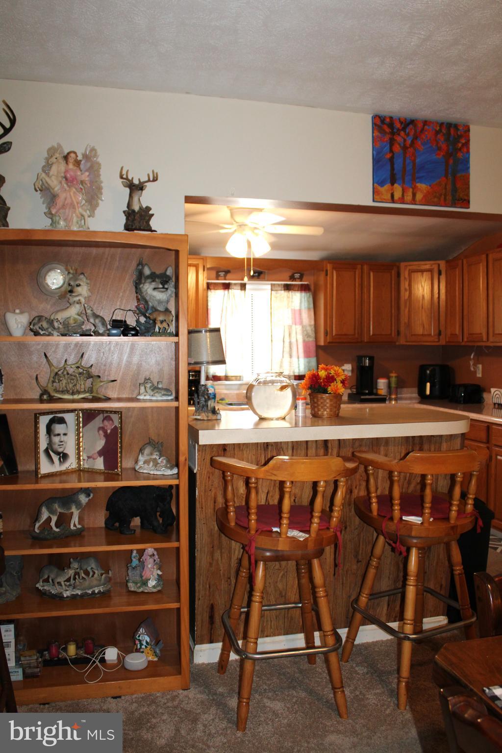 10117 Hummingbird Street Ellerslie, MD 21529 - Photo 43 of 76 Breakfast Bar View 1