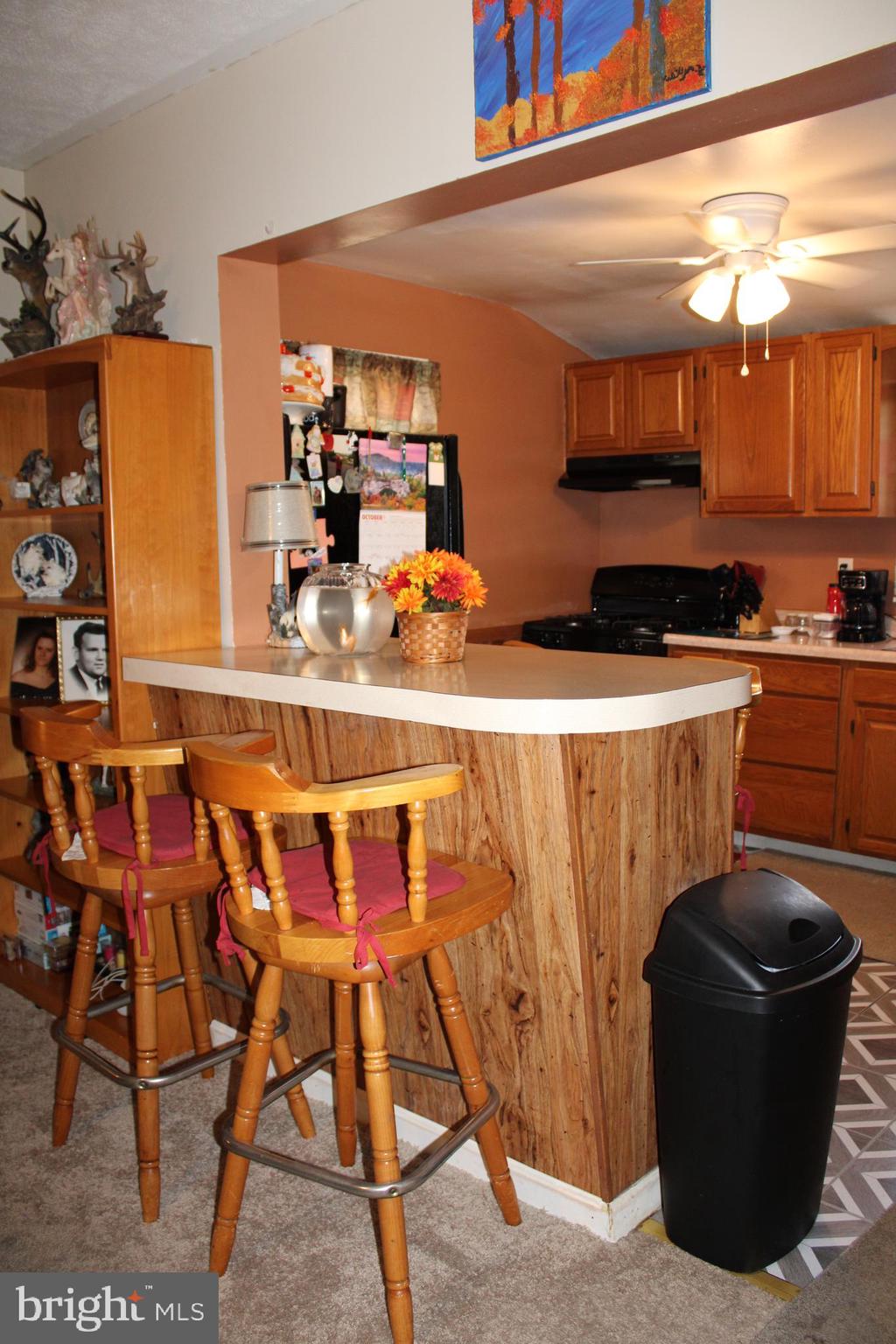 10117 Hummingbird Street Ellerslie, MD 21529 - Photo 44 of 76 Breakfast Bar View 2