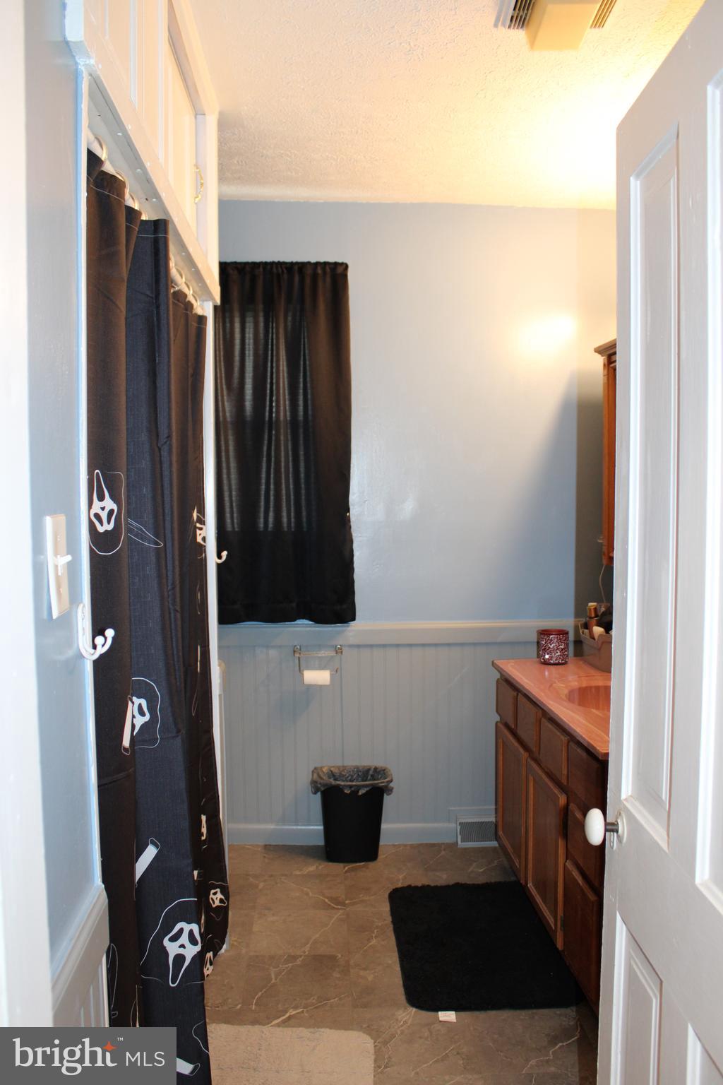 10117 Hummingbird Street Ellerslie, MD 21529 - Photo 61 of 76 a bathroom with a sink and a mirror