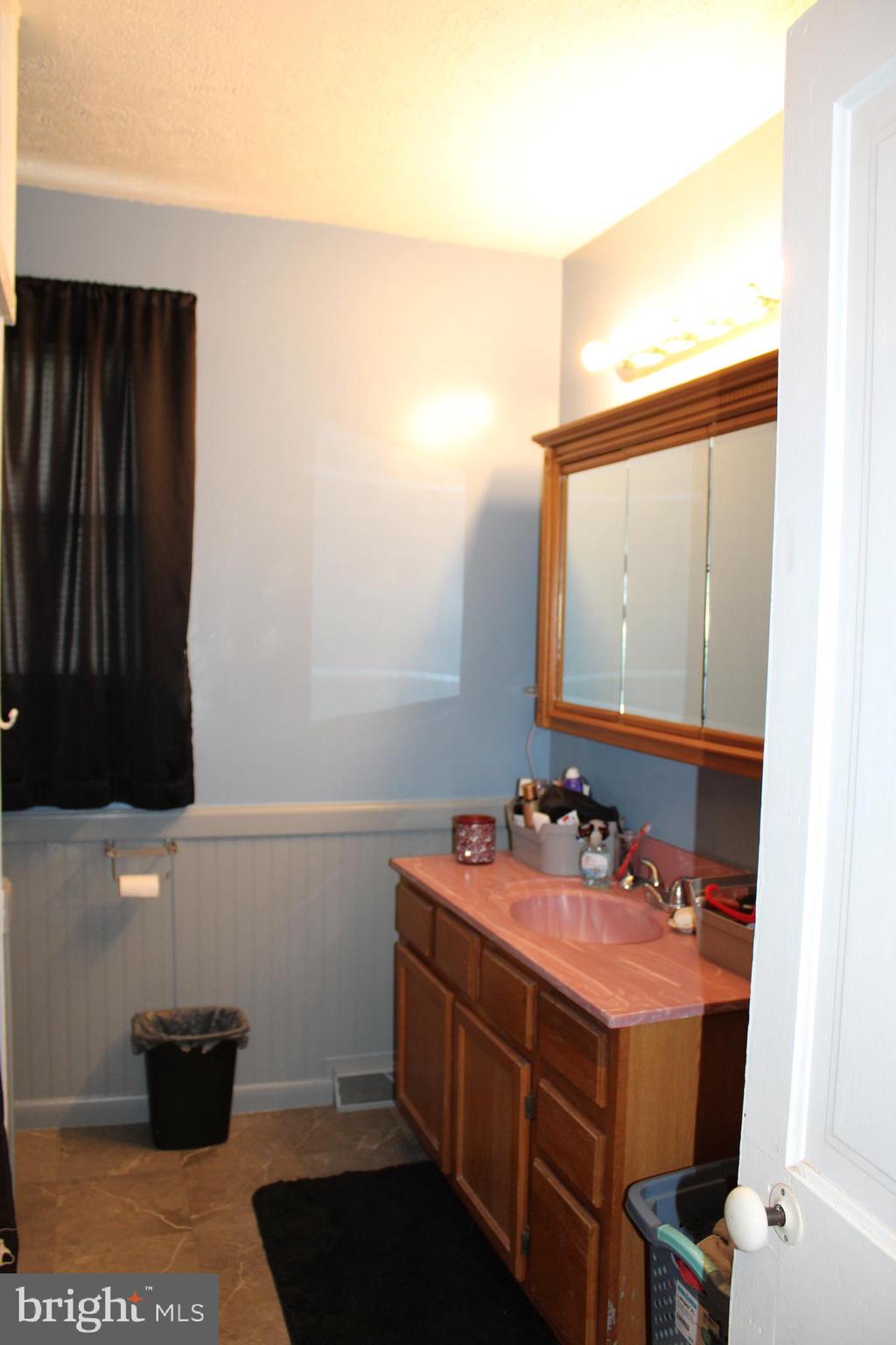 10117 Hummingbird Street Ellerslie, MD 21529 - Photo 62 of 76 a bathroom with a sink and a mirror