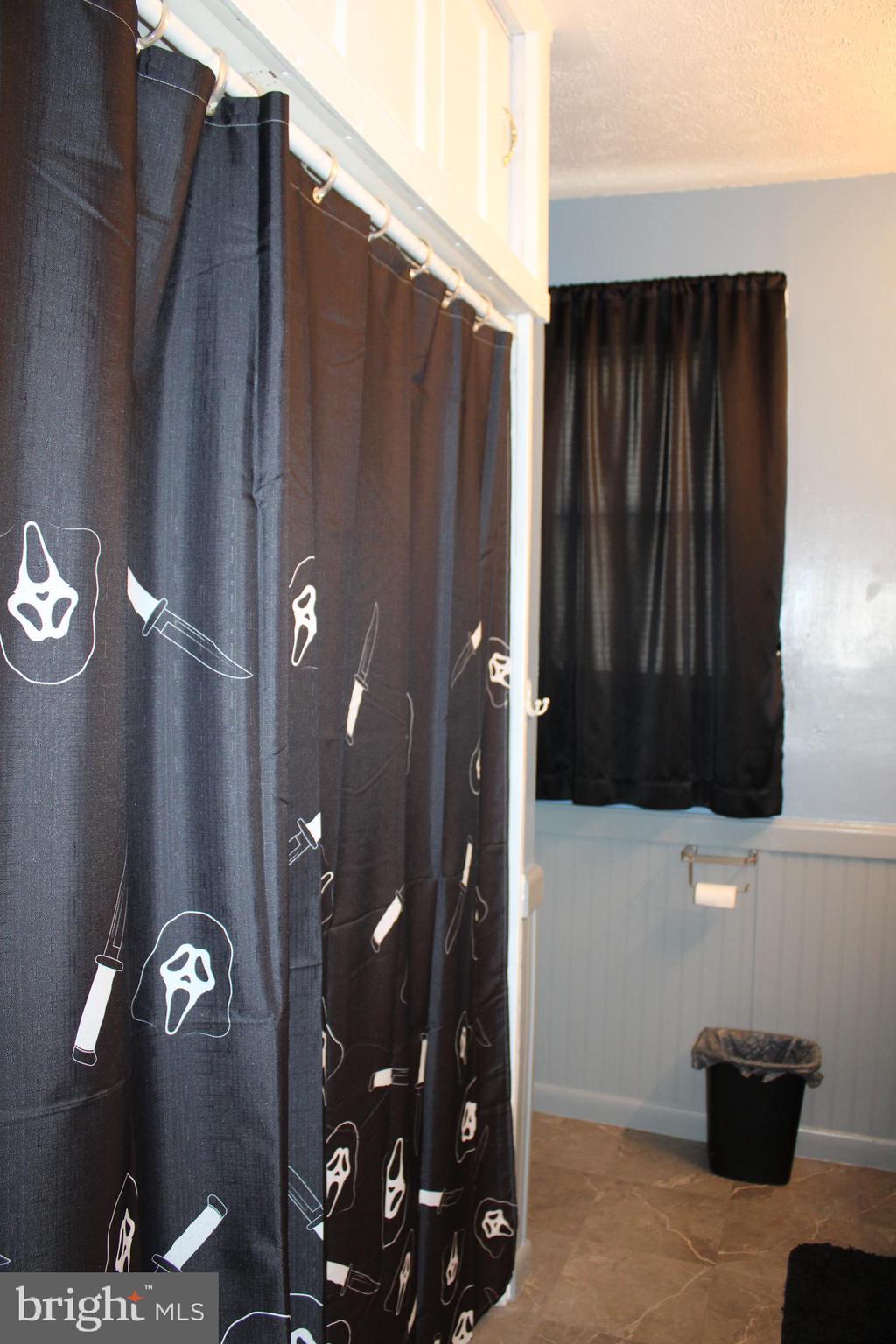 10117 Hummingbird Street Ellerslie, MD 21529 - Photo 63 of 76 a bathroom with a sink and a mirror