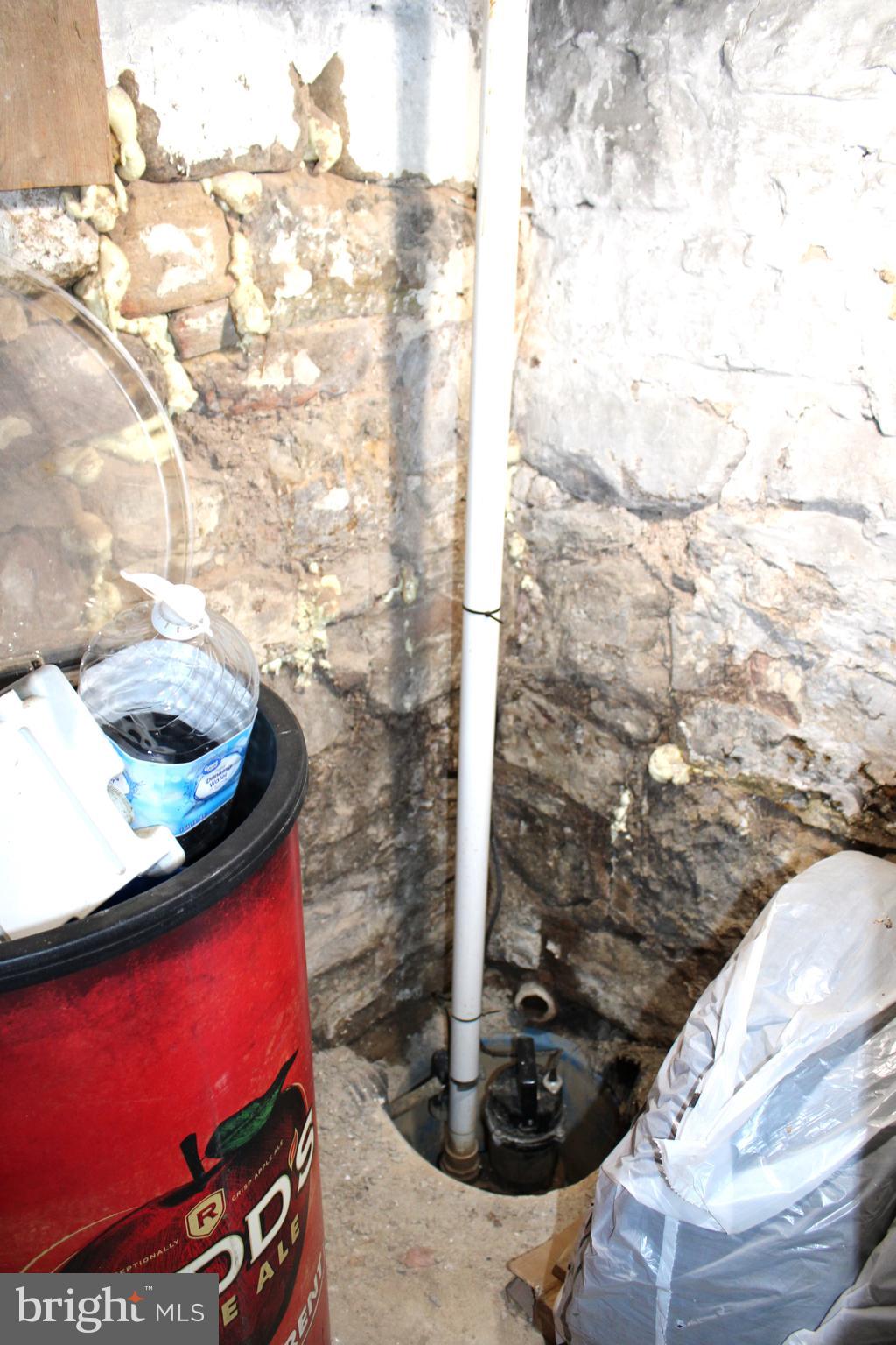 10117 Hummingbird Street Ellerslie, MD 21529 - Photo 76 of 76 Sump Pump