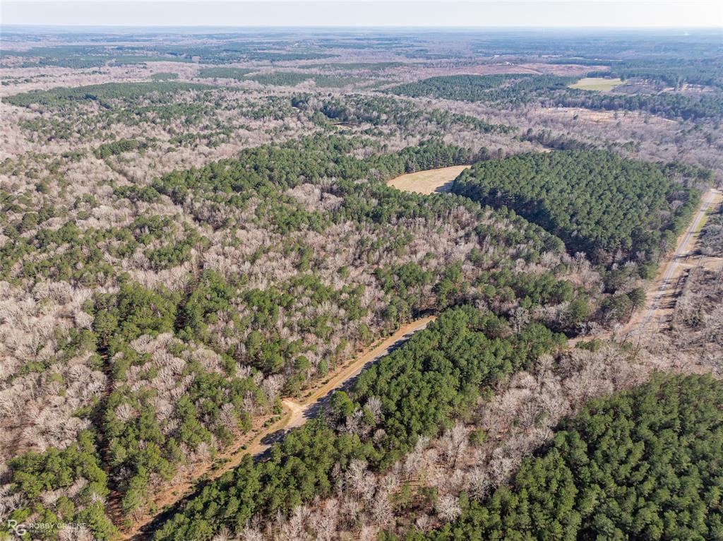 889 Fuller Cemetery Road Minden, LA 71055 - Photo 11 of 19 a view of a big yard with lots of green space