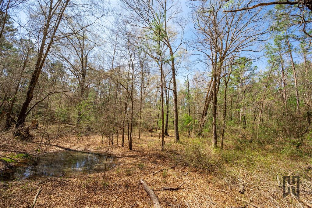 889 Fuller Cemetery Road Minden, LA 71055 - Photo 14 of 19 a view of a yard with trees