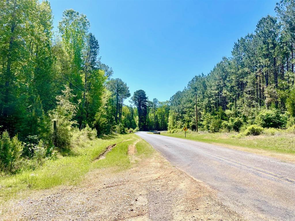 889 Fuller Cemetery Road Minden, LA 71055 - Photo 16 of 19 a view of a yard with a house
