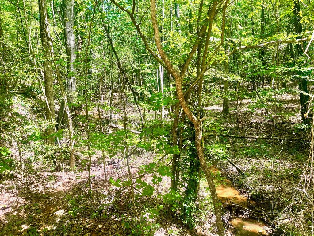 889 Fuller Cemetery Road Minden, LA 71055 - Photo 17 of 19 a backyard of a house with lots of plants