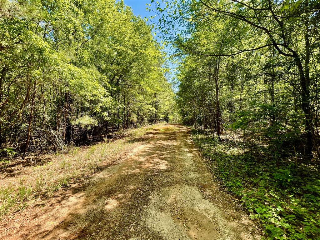 889 Fuller Cemetery Road Minden, LA 71055 - Photo 19 of 19 a view of outdoor space and yard