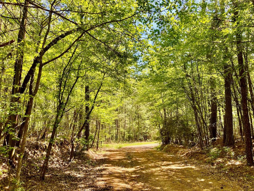 889 Fuller Cemetery Road Minden, LA 71055 - Photo 2 of 19