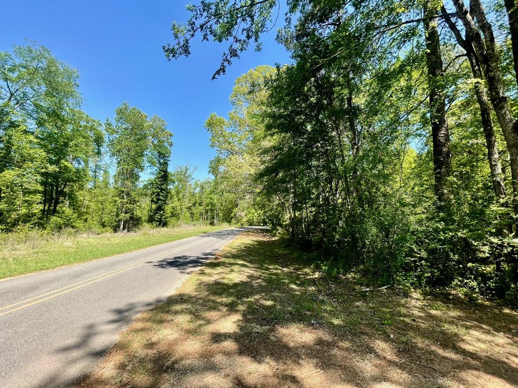 889 Fuller Cemetery Road Minden, LA 71055 - Photo 3 of 19 a view of a yard with an trees
