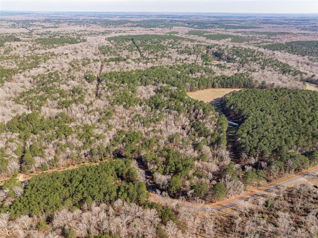889 Fuller Cemetery Road Minden, LA 71055 - Photo 6 of 19 a view of city and mountain