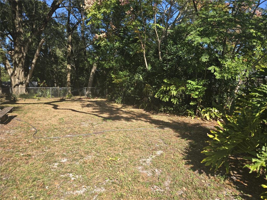 2455 Royal Road DeLand, FL 32724 - Photo 17 of 18 a view of empty space with trees