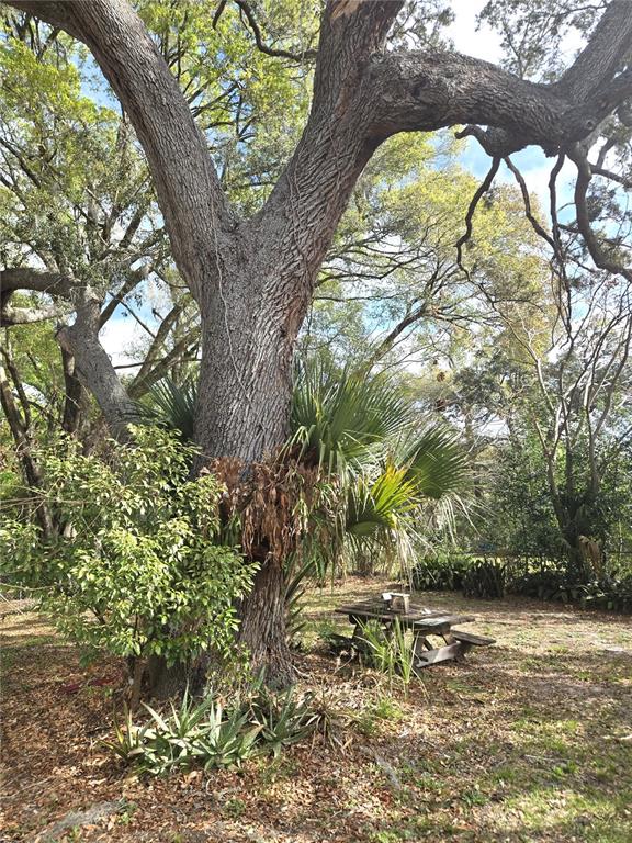 2455 Royal Road DeLand, FL 32724 - Photo 18 of 18