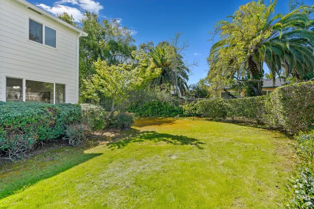 a view of a backyard with plants and palm trees