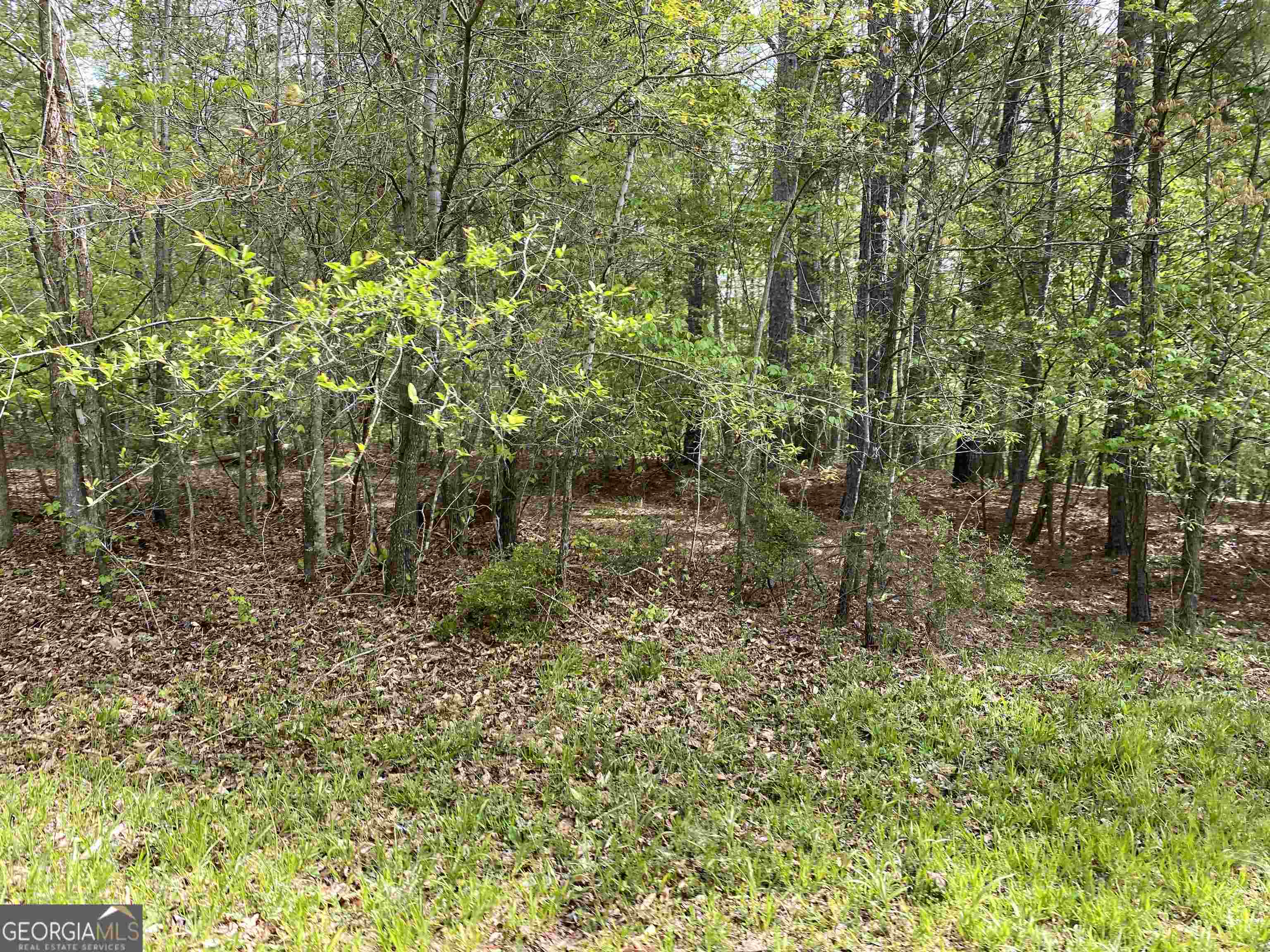0 New Kings Bridge Road, Unit LOT 7 Athens, GA 30607 - Photo 11 of 48 a backyard of a house with lots of green space and fountain