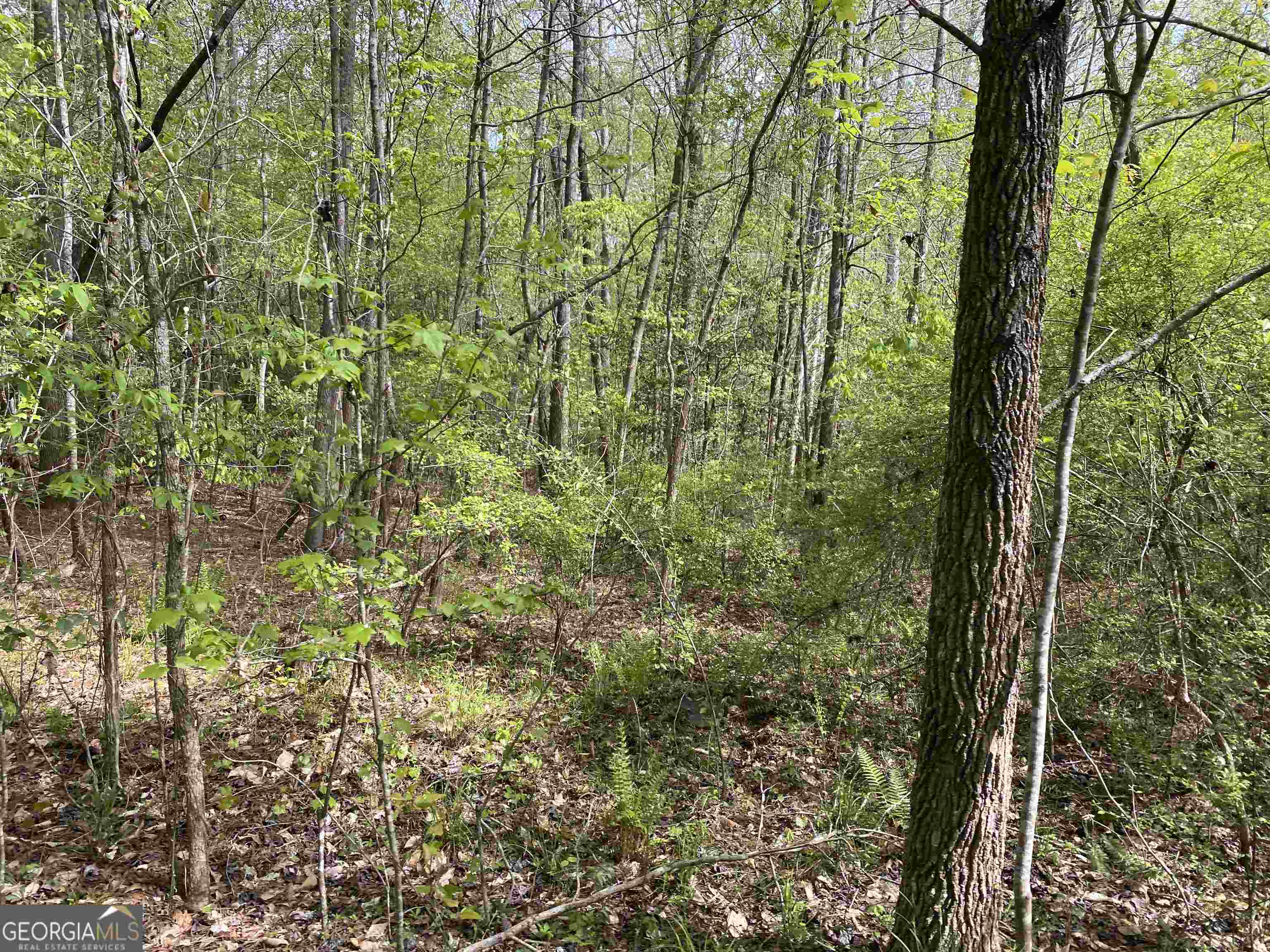 0 New Kings Bridge Road, Unit LOT 7 Athens, GA 30607 - Photo 13 of 48 a view of a garden