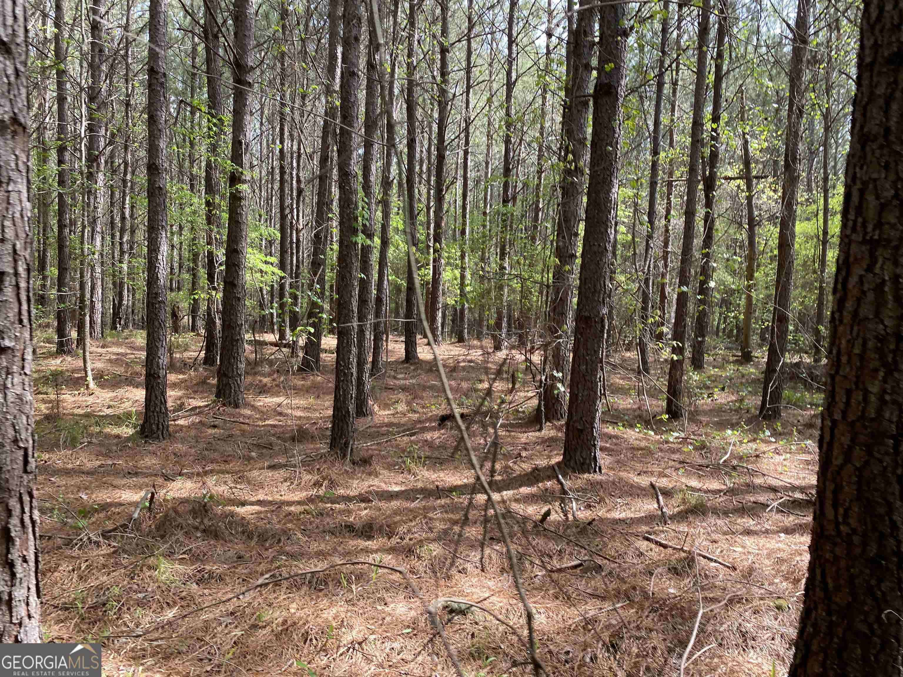 0 New Kings Bridge Road, Unit LOT 7 Athens, GA 30607 - Photo 15 of 48 a view of outdoor space with street view
