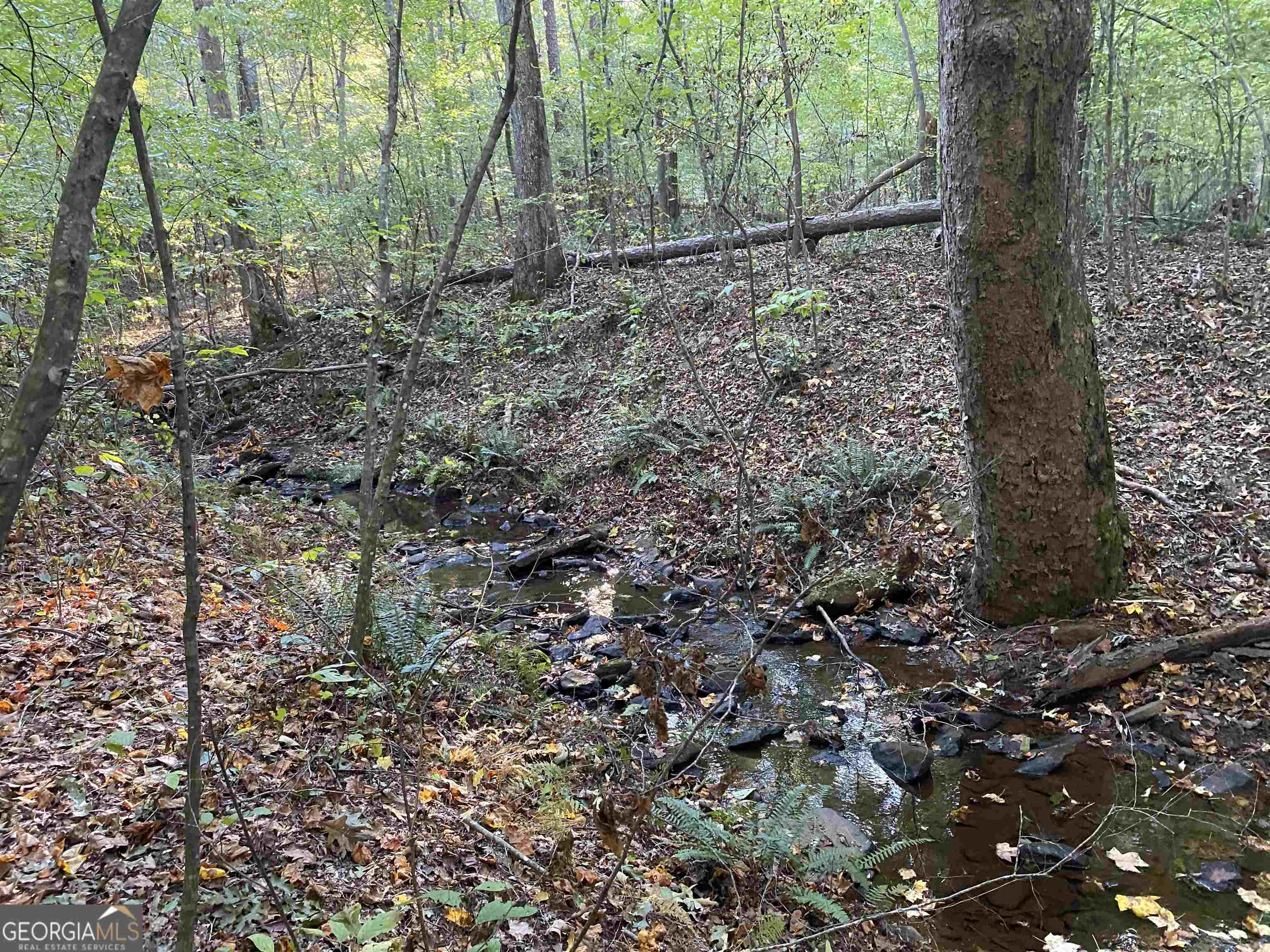 0 New Kings Bridge Road, Unit LOT 7 Athens, GA 30607 - Photo 18 of 48 a view of a forest that has large trees