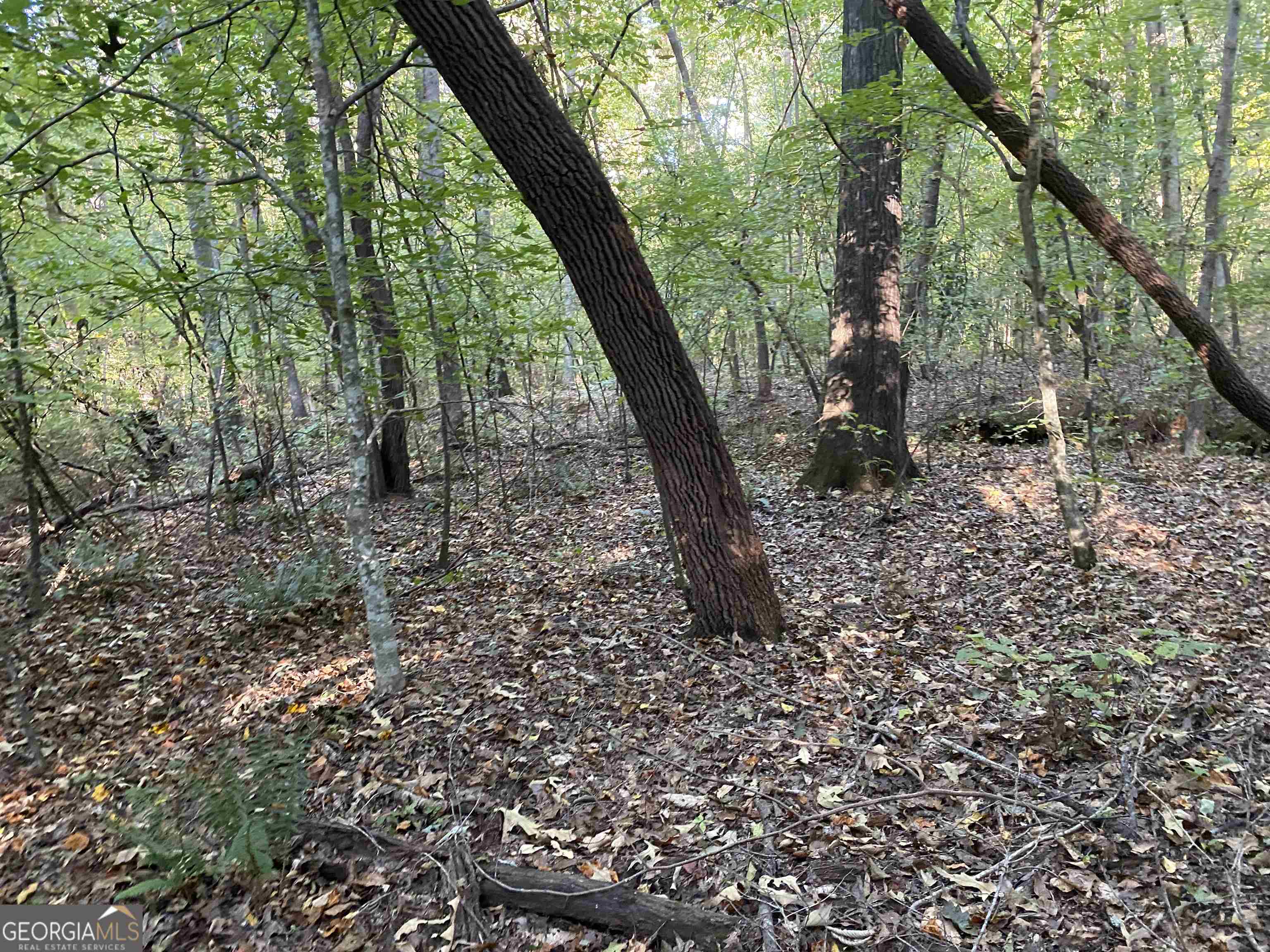 0 New Kings Bridge Road, Unit LOT 7 Athens, GA 30607 - Photo 19 of 48 a view of a trees in a yard