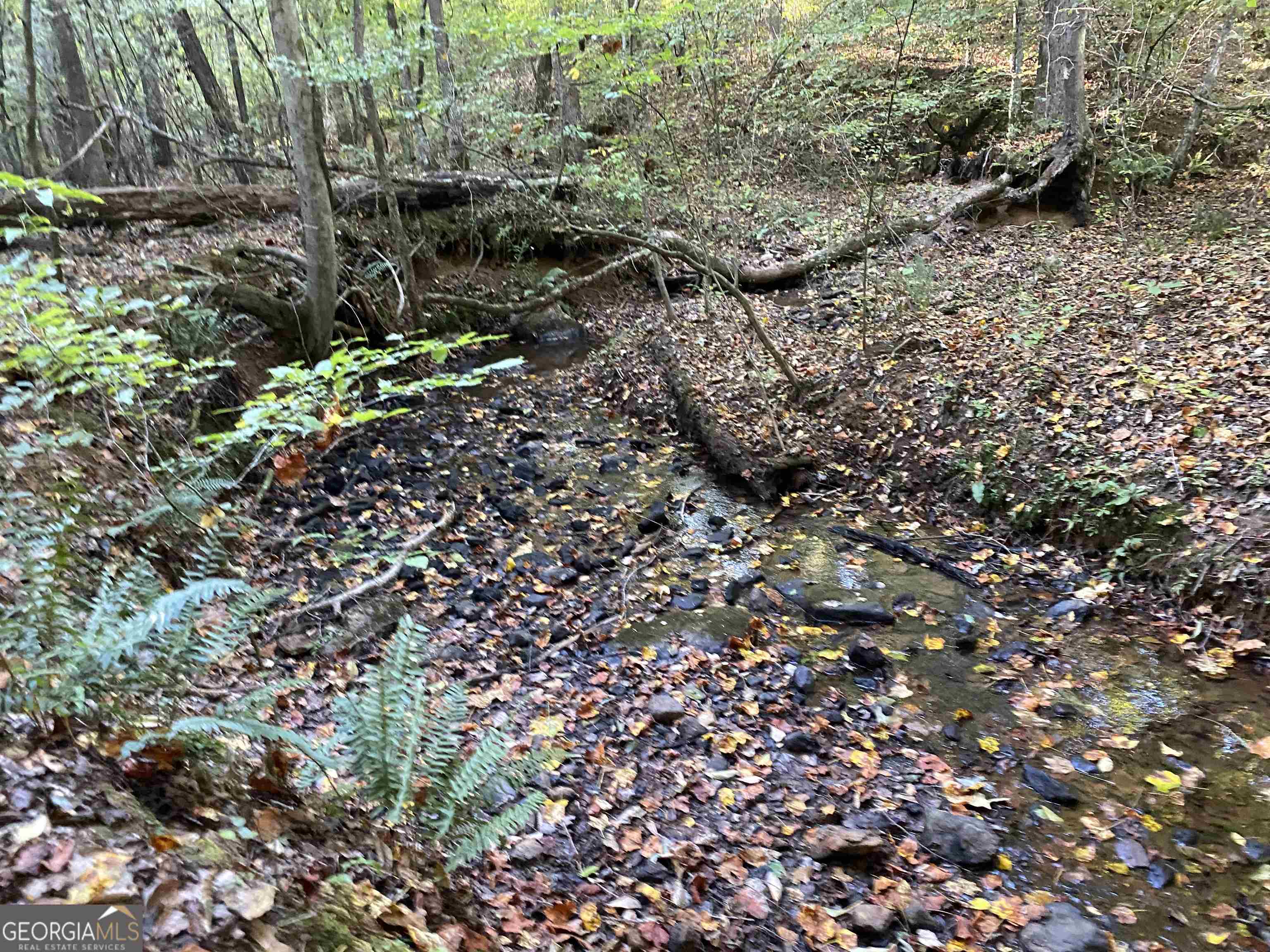 0 New Kings Bridge Road, Unit LOT 7 Athens, GA 30607 - Photo 20 of 48 a view of a large yard with lots of bushes