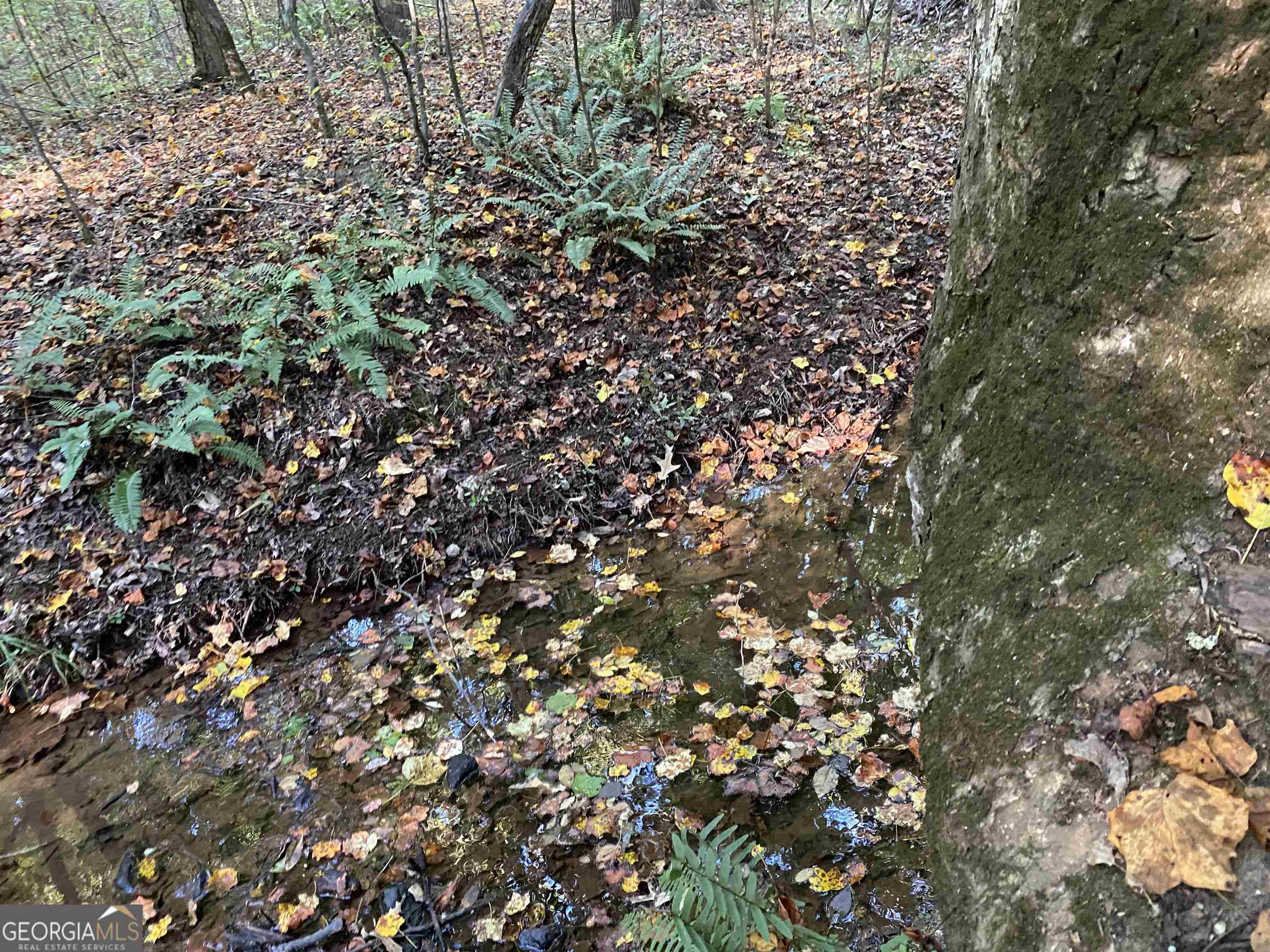 0 New Kings Bridge Road, Unit LOT 7 Athens, GA 30607 - Photo 21 of 48