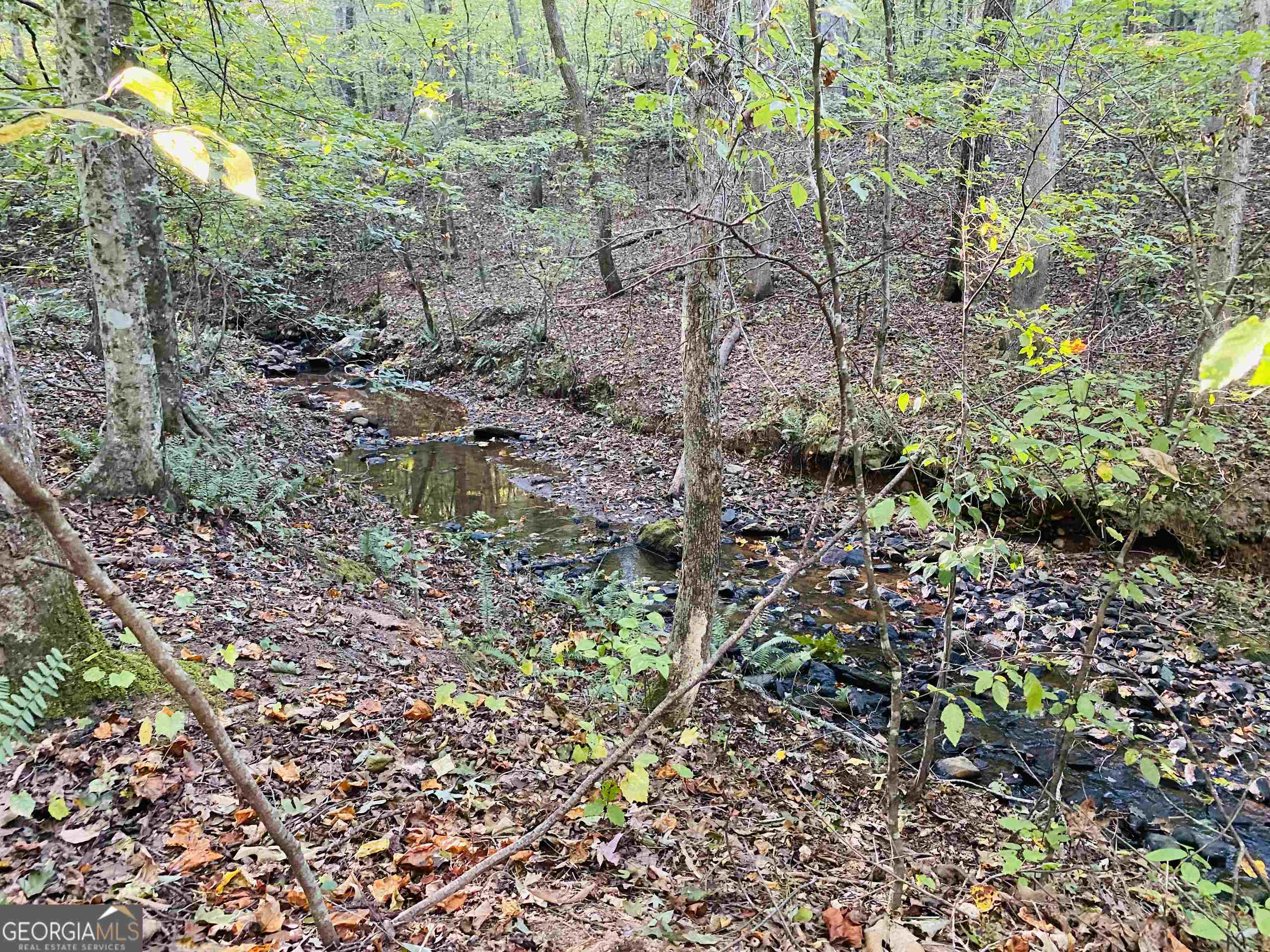 0 New Kings Bridge Road, Unit LOT 7 Athens, GA 30607 - Photo 23 of 48 a view of a garden with plants