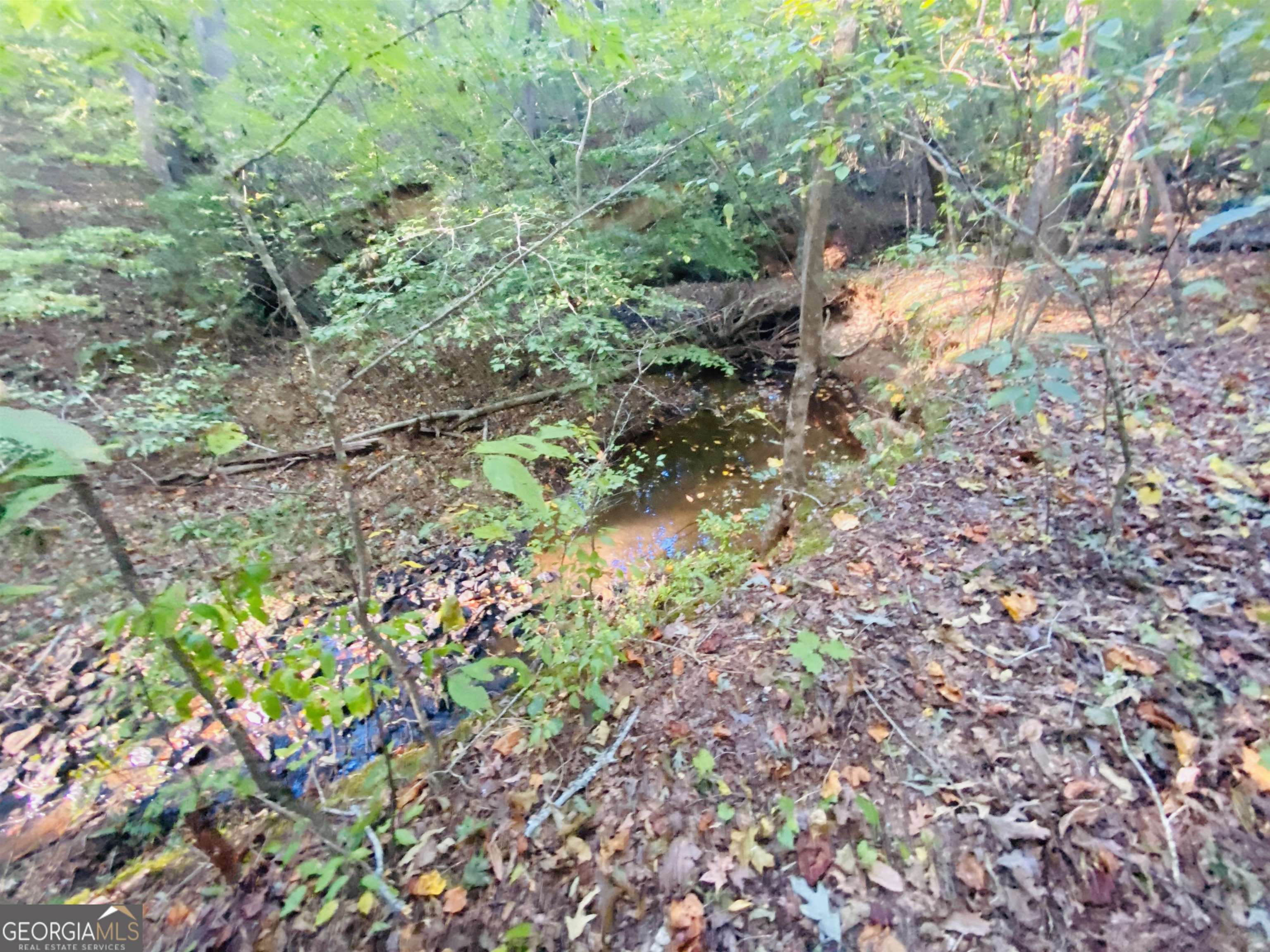 0 New Kings Bridge Road, Unit LOT 7 Athens, GA 30607 - Photo 25 of 48 a backyard of a house with lots of green space