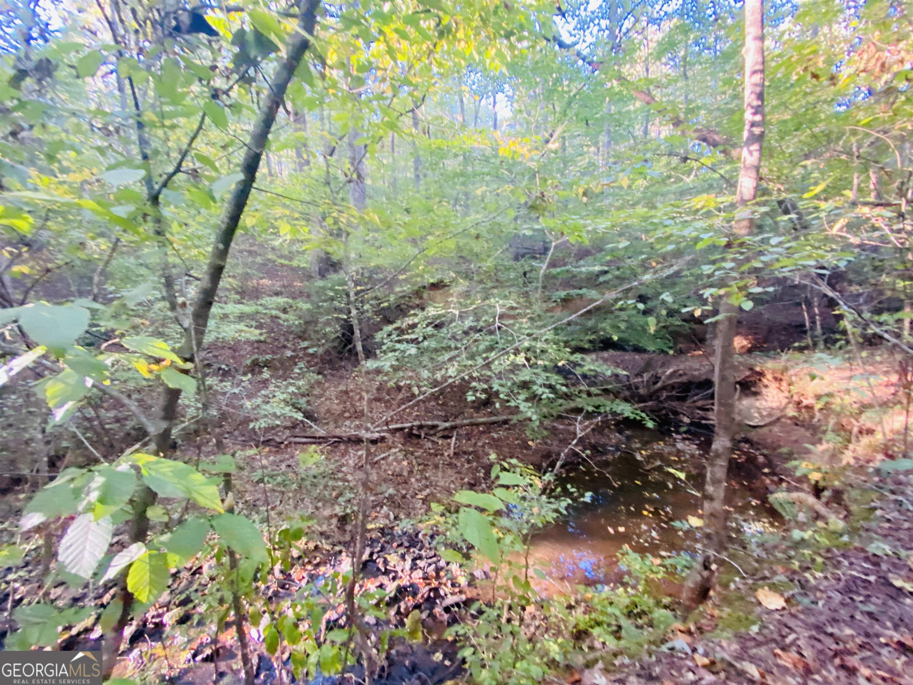 0 New Kings Bridge Road, Unit LOT 7 Athens, GA 30607 - Photo 26 of 48 a backyard of a house with lots of green space and garden in the back