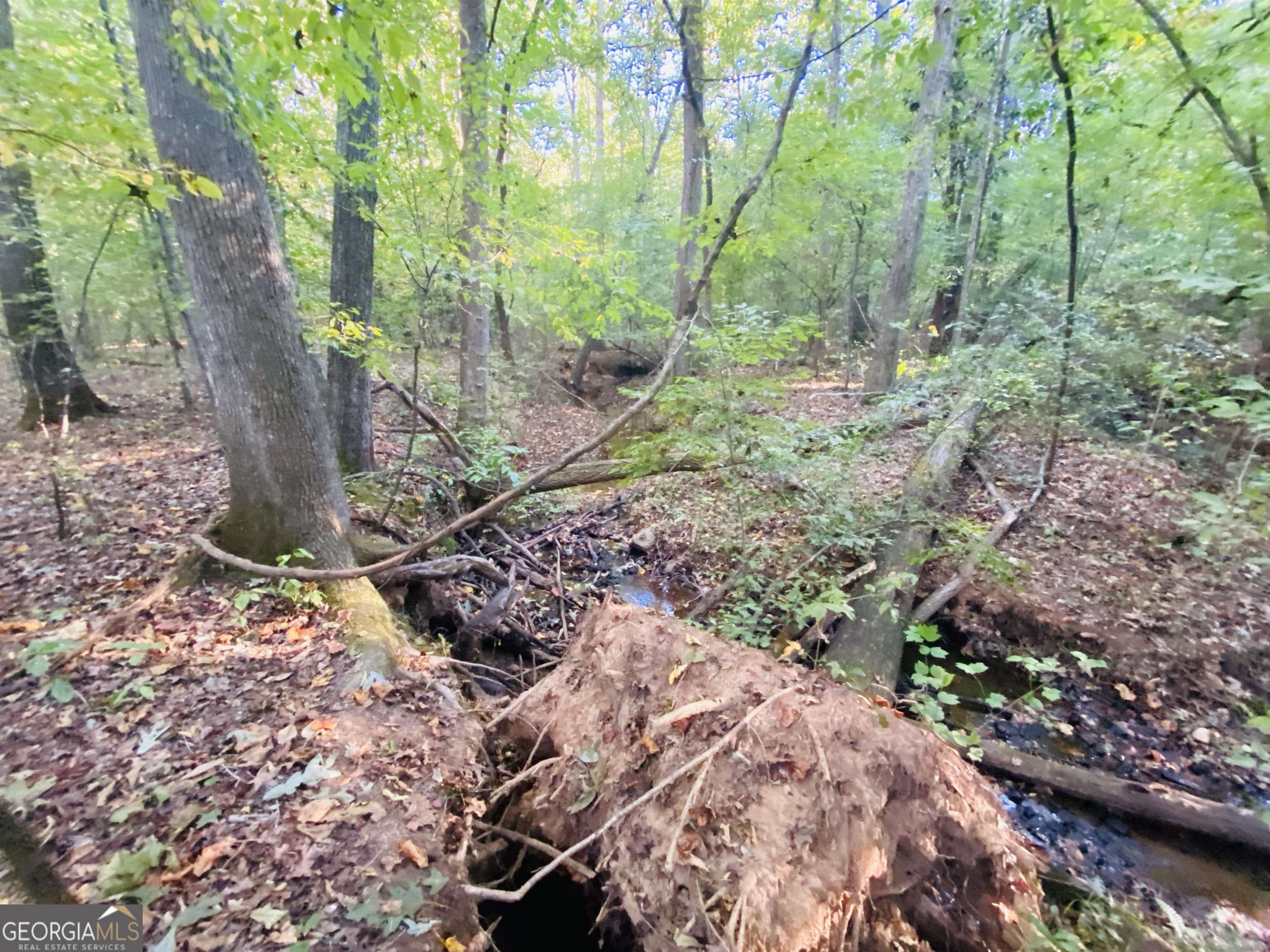 0 New Kings Bridge Road, Unit LOT 7 Athens, GA 30607 - Photo 28 of 48 a backyard of a house with lots of green space