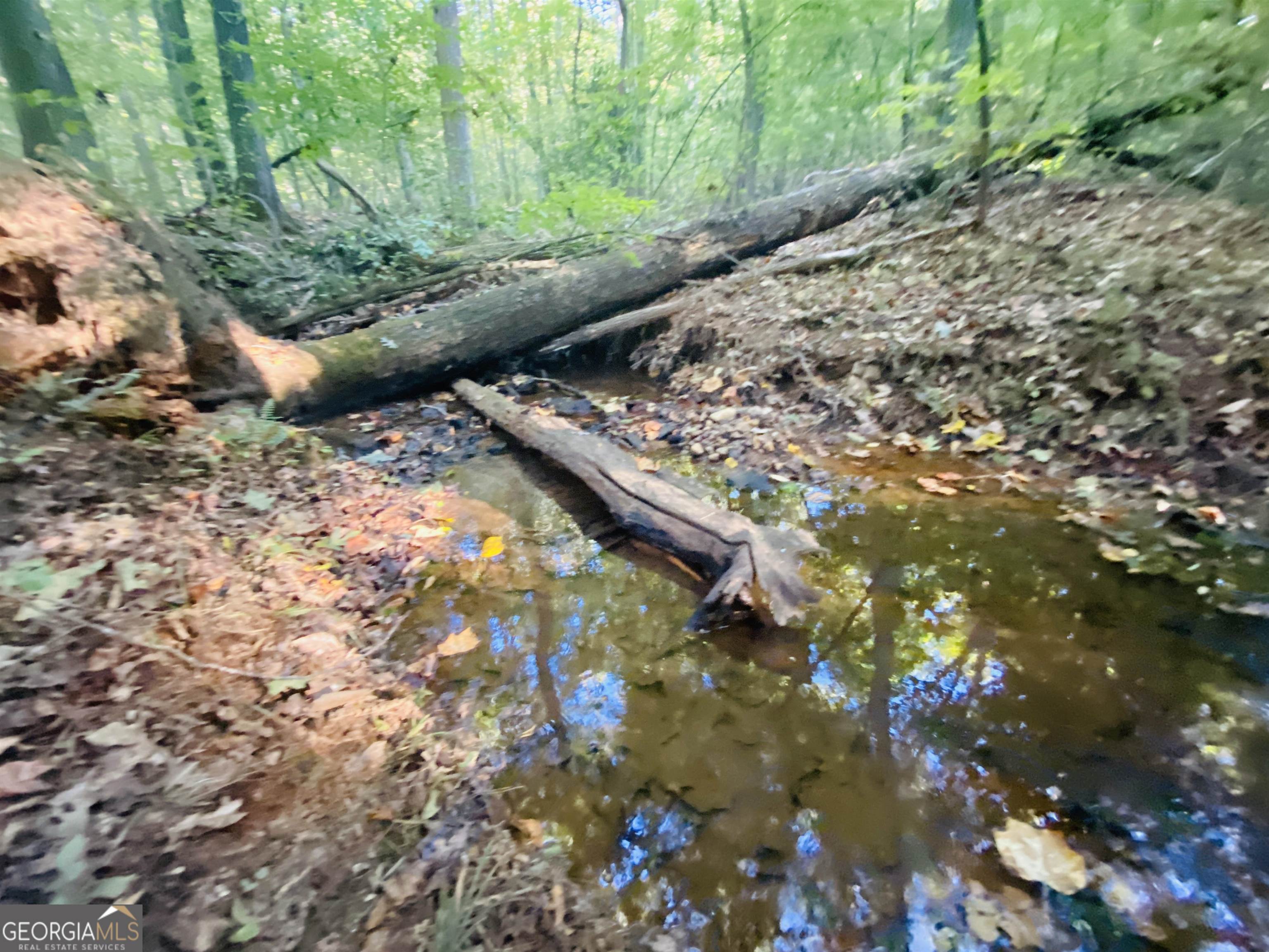 0 New Kings Bridge Road, Unit LOT 7 Athens, GA 30607 - Photo 29 of 48 a view of a tree in a yard