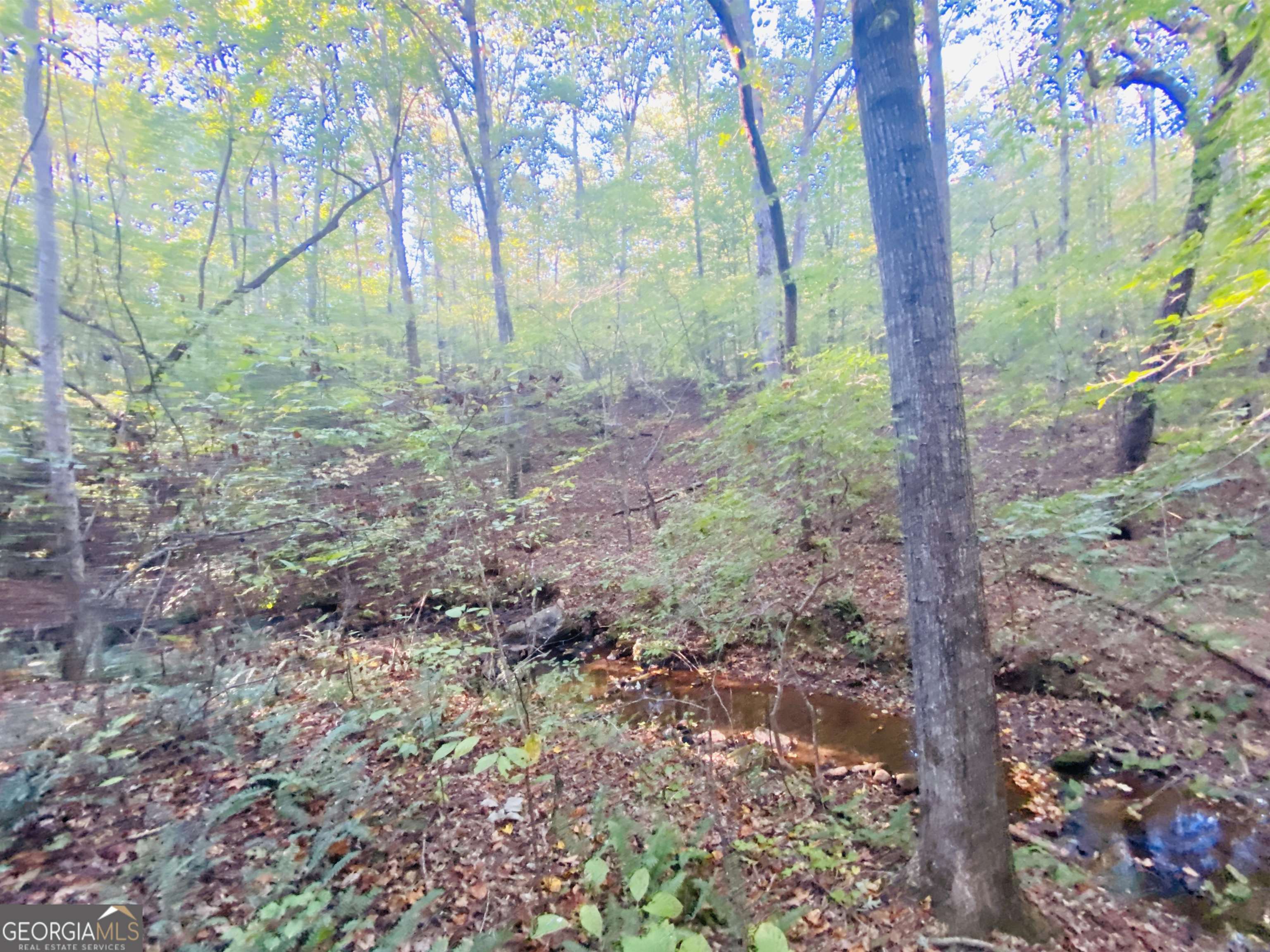 0 New Kings Bridge Road, Unit LOT 7 Athens, GA 30607 - Photo 30 of 48 a view of a yard with lots of trees