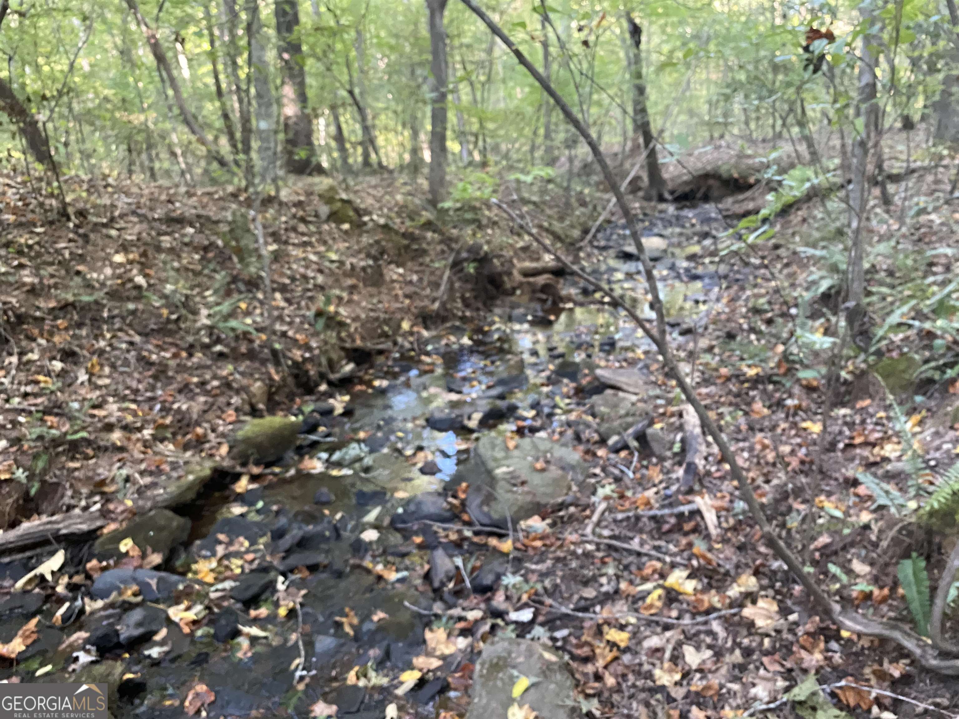 0 New Kings Bridge Road, Unit LOT 7 Athens, GA 30607 - Photo 3 of 48 a view of a yard with a tree