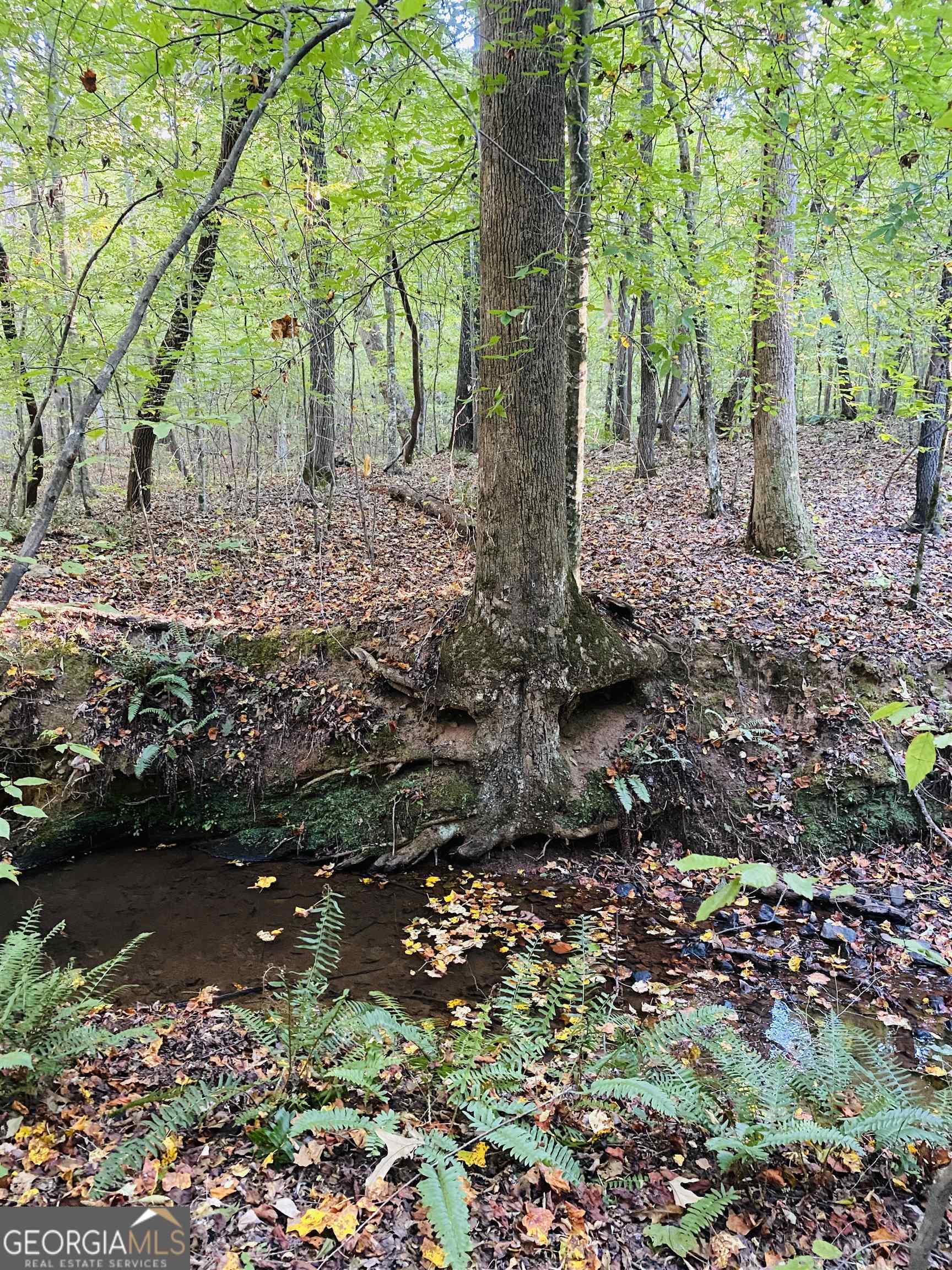 0 New Kings Bridge Road, Unit LOT 7 Athens, GA 30607 - Photo 31 of 48