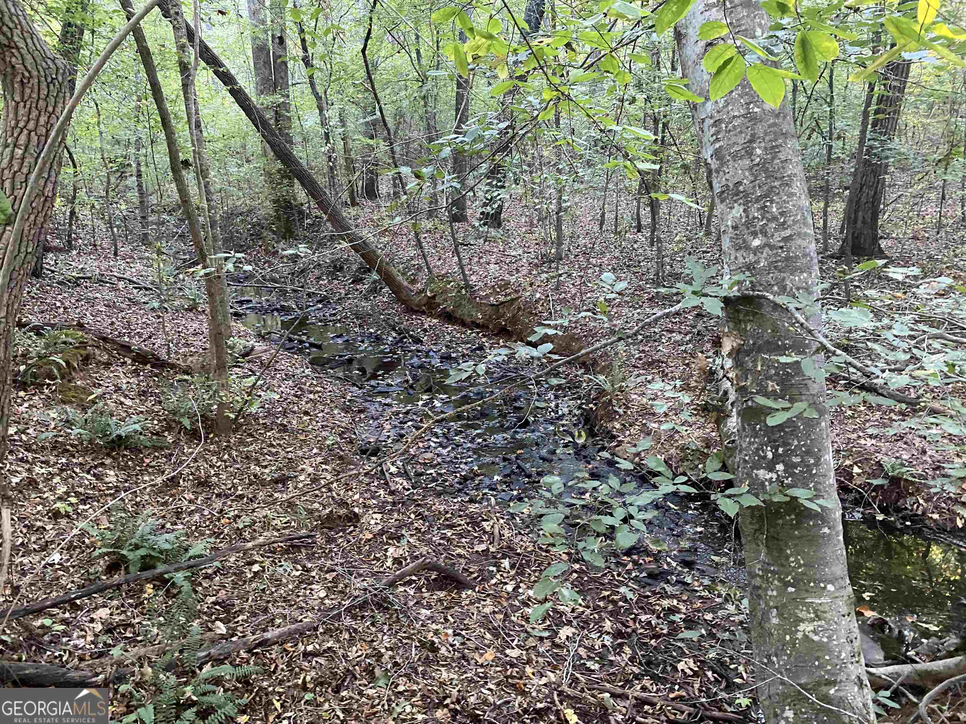 0 New Kings Bridge Road, Unit LOT 7 Athens, GA 30607 - Photo 32 of 48 a view of yard