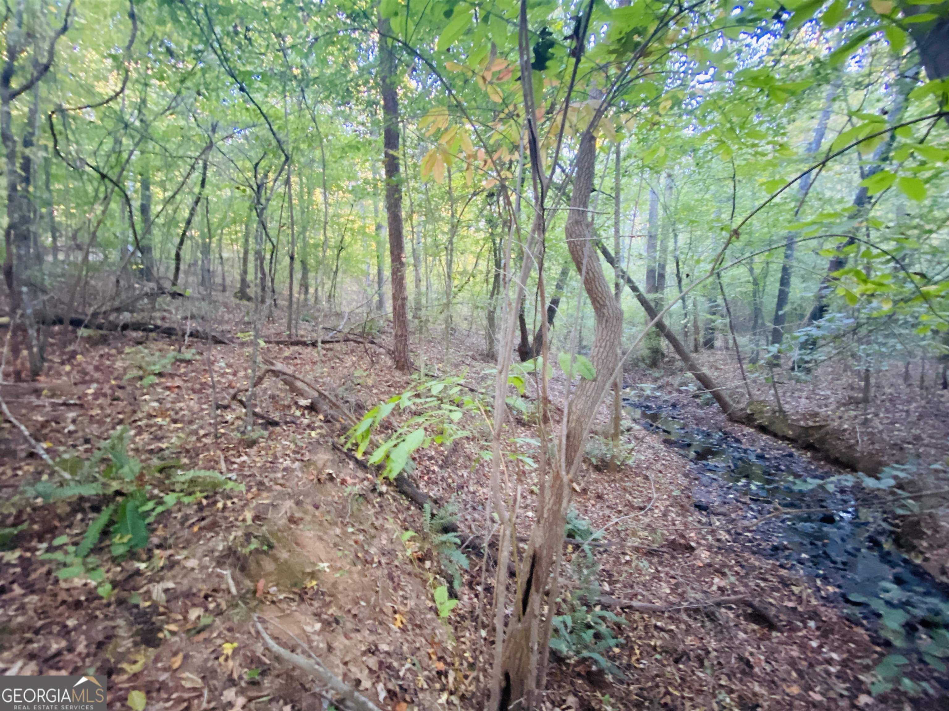 0 New Kings Bridge Road, Unit LOT 7 Athens, GA 30607 - Photo 33 of 48 a backyard of a house with lots of green space