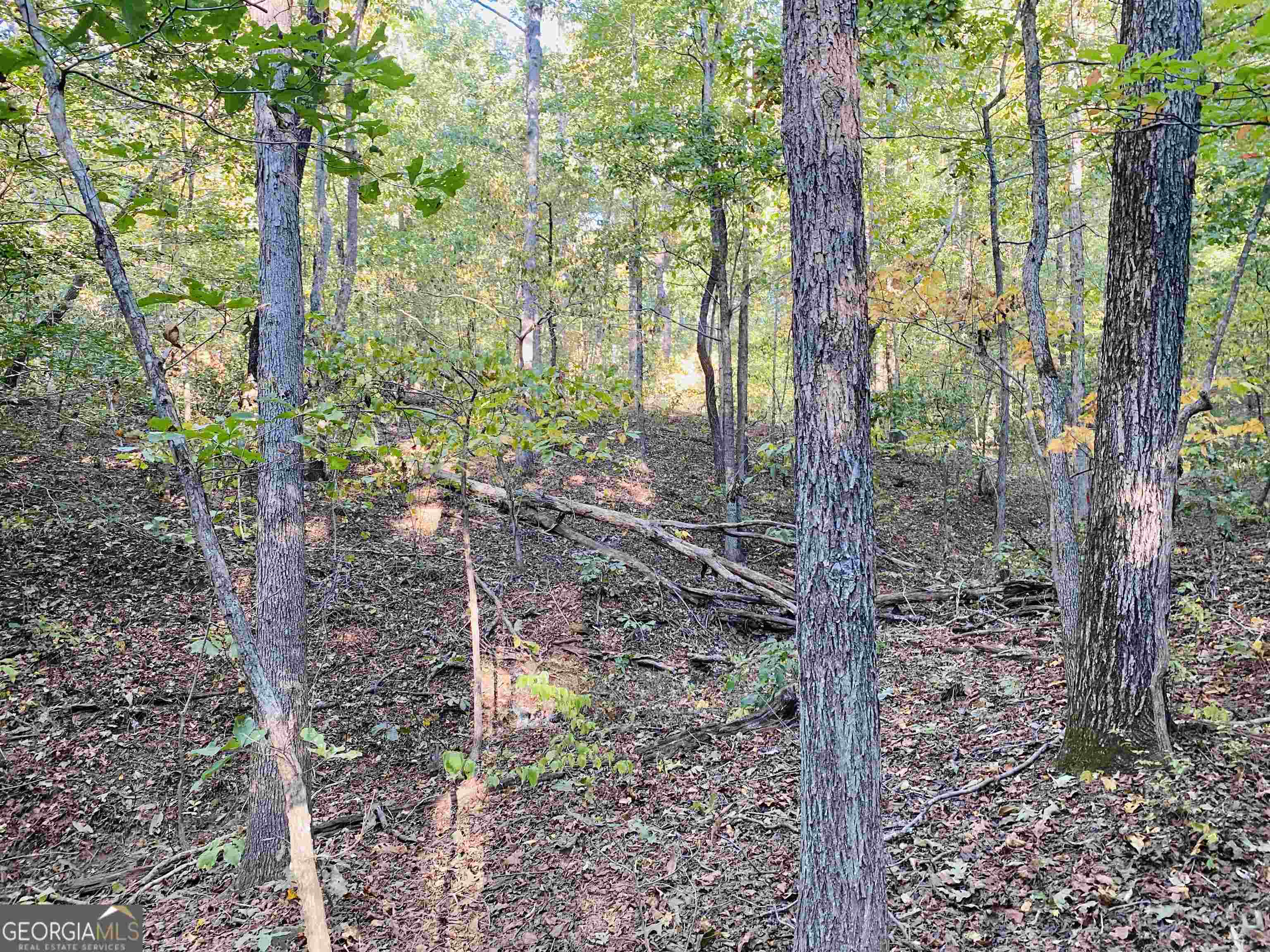 0 New Kings Bridge Road, Unit LOT 7 Athens, GA 30607 - Photo 34 of 48 a backyard of a house with lots of green space