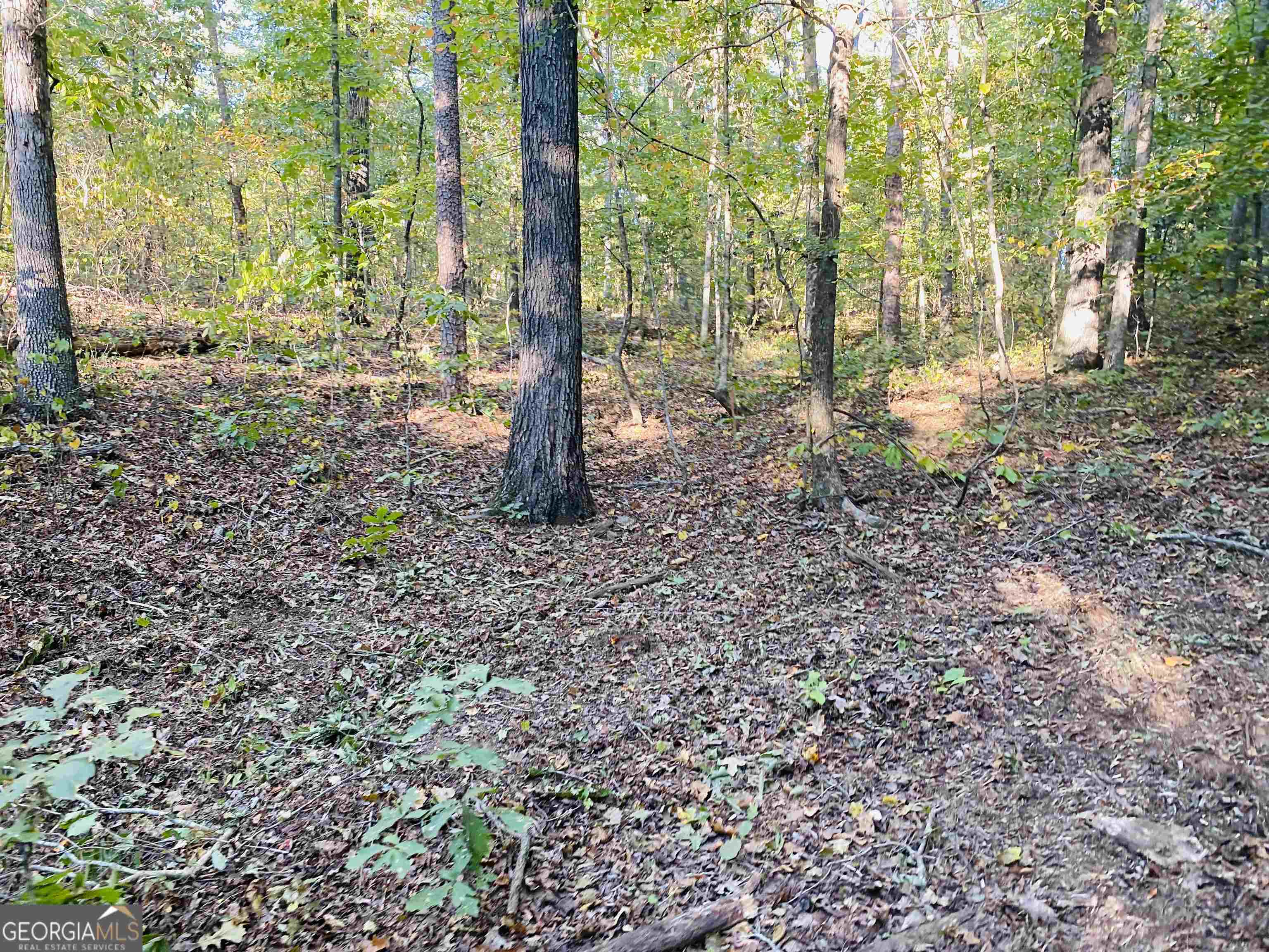 0 New Kings Bridge Road, Unit LOT 7 Athens, GA 30607 - Photo 35 of 48 a backyard of a house with lots of green space