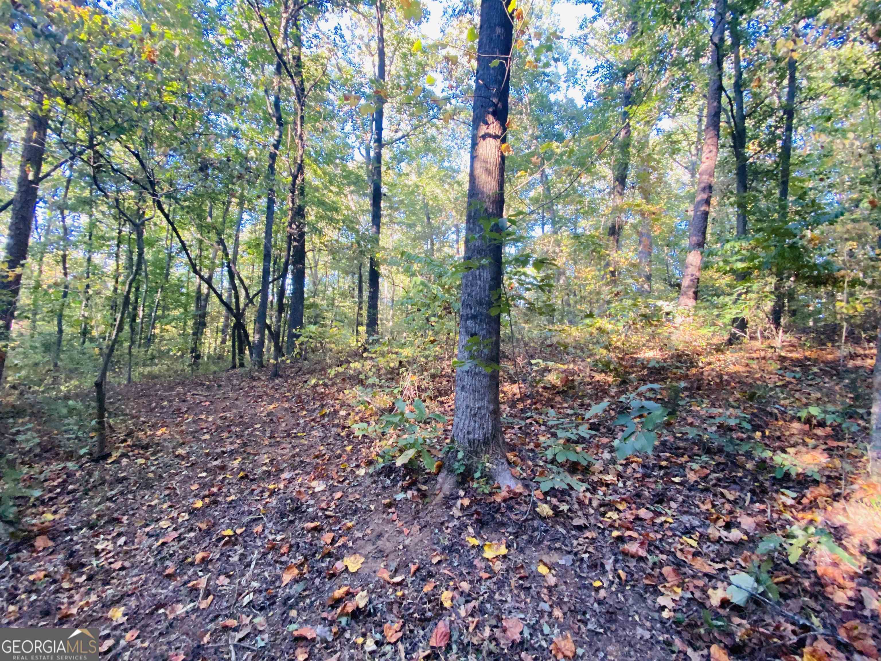 0 New Kings Bridge Road, Unit LOT 7 Athens, GA 30607 - Photo 36 of 48 a big yard with lots of green space