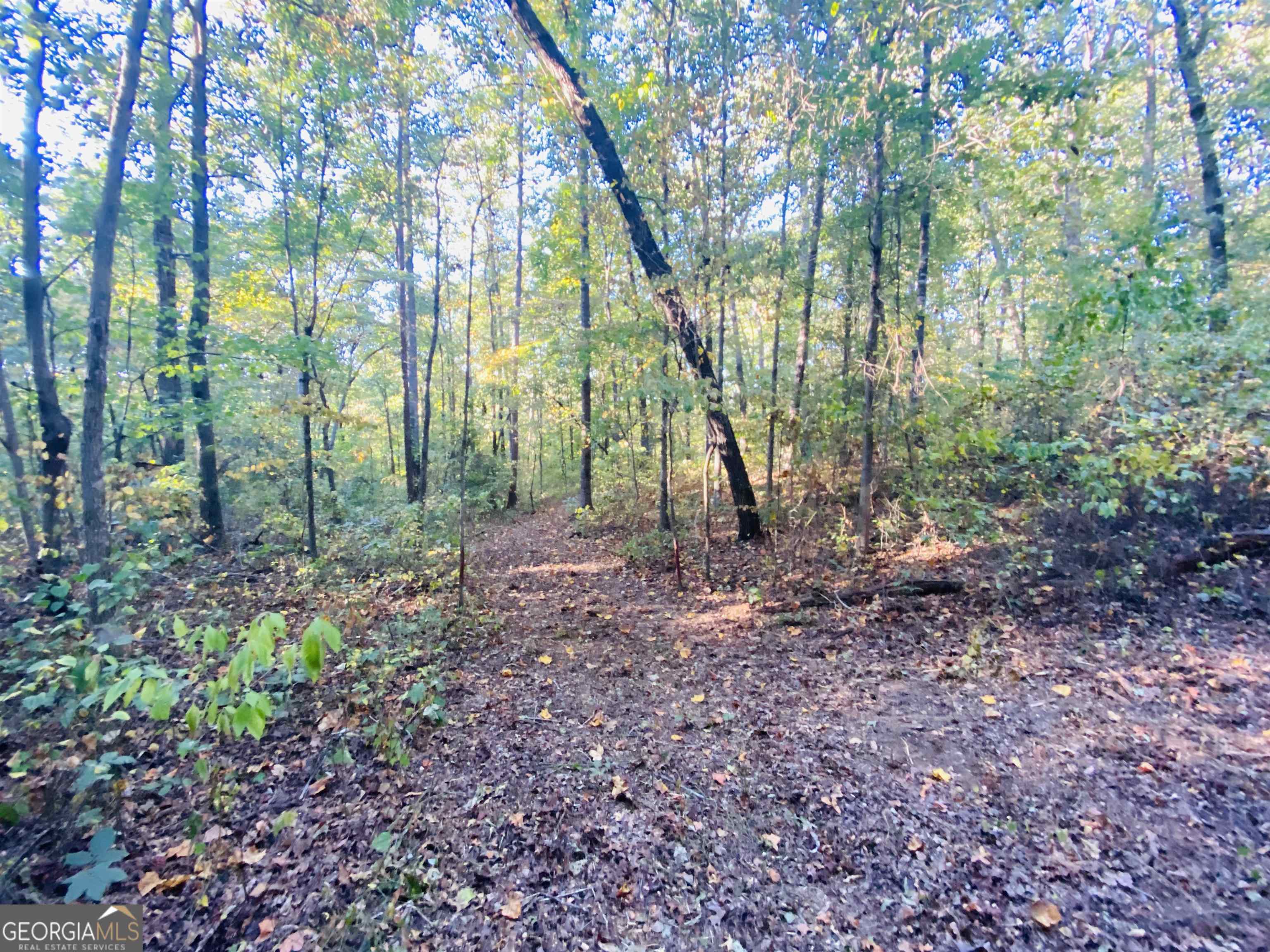 0 New Kings Bridge Road, Unit LOT 7 Athens, GA 30607 - Photo 37 of 48 a view of outdoor space and green space