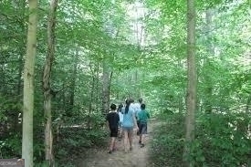 0 New Kings Bridge Road, Unit LOT 7 Athens, GA 30607 - Photo 45 of 48 a view of a forest with a street